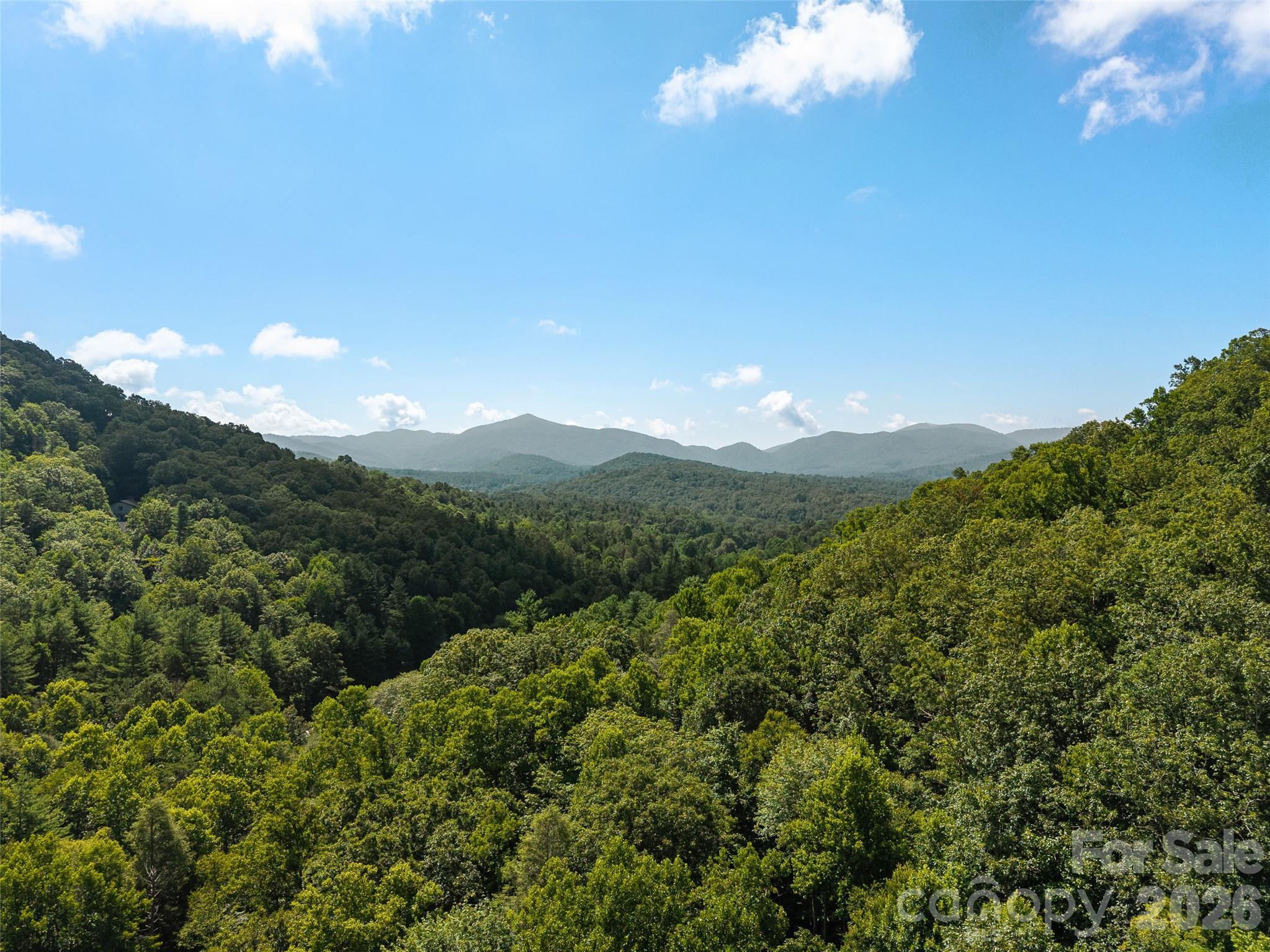 Acreage at 23.53 Acres Ballard Creek Road, Fairview, photo 12 of 18