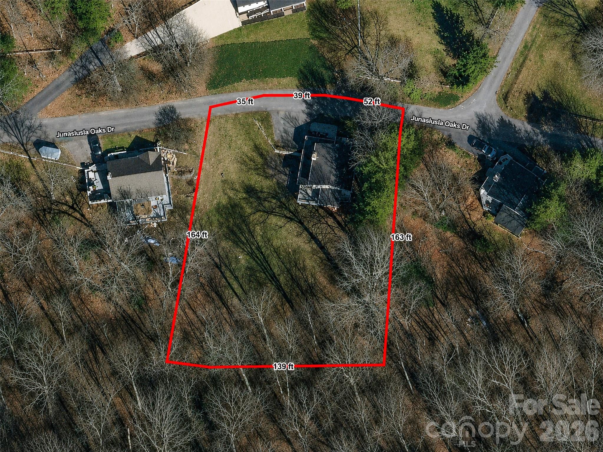 Approximate Lot Lines - 218 Junaluska Oaks Drive, Waynesville