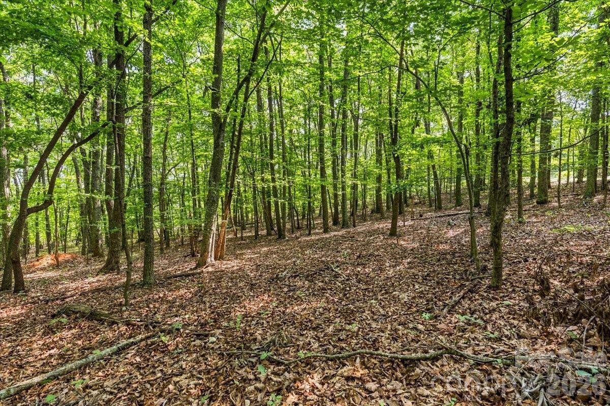 Lot at 149 Mossy Oak Trail, Nebo, photo 4 of 39