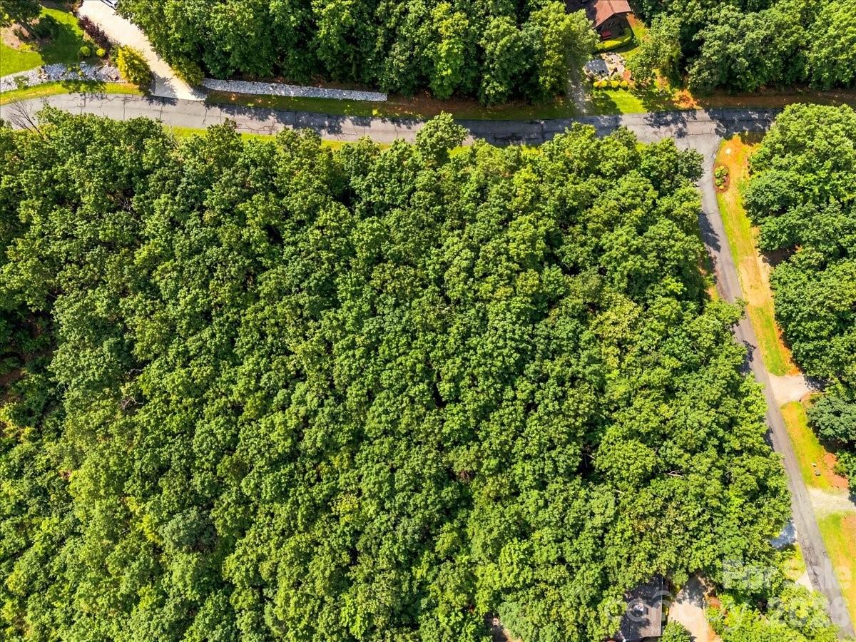 Lot at 149 Mossy Oak Trail, Nebo, photo 6 of 39