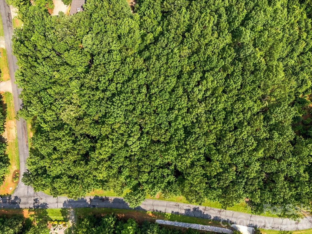 Lot at 149 Mossy Oak Trail, Nebo, photo 9 of 39