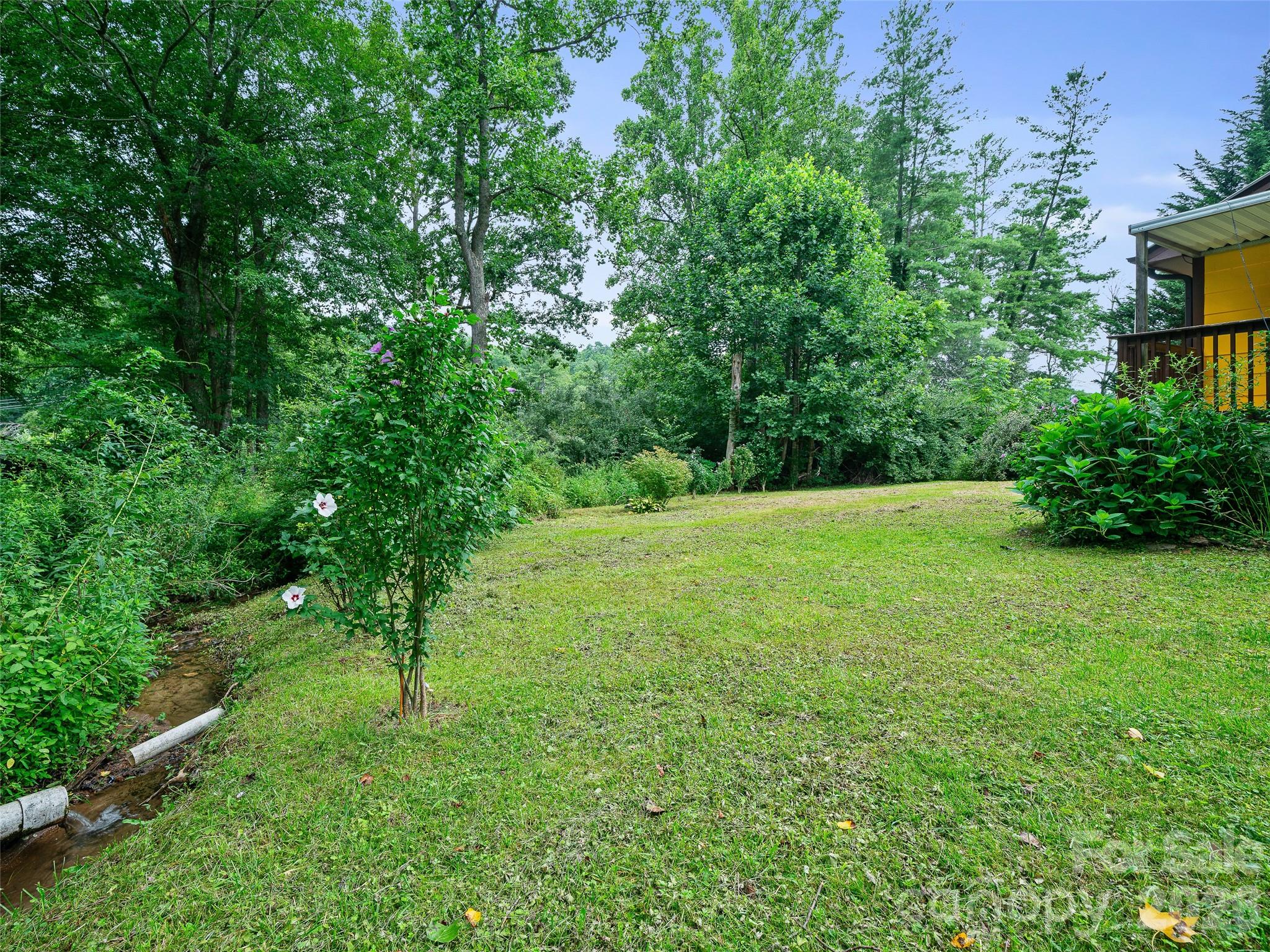 Back Yard - 1644 State Hwy 80 S None, Burnsville