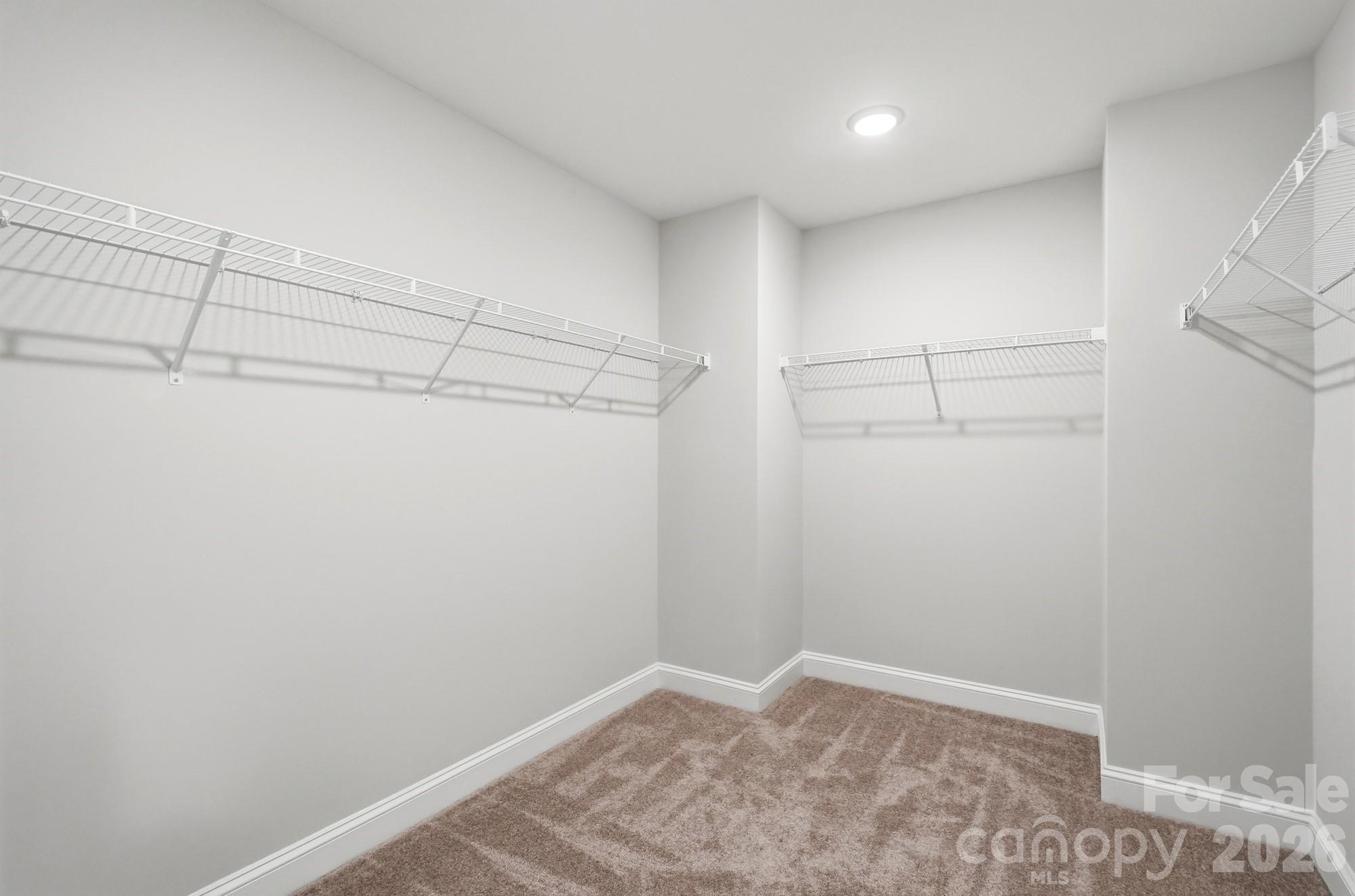 Walk in Closet - 151 Grouse Run Way, Troutman