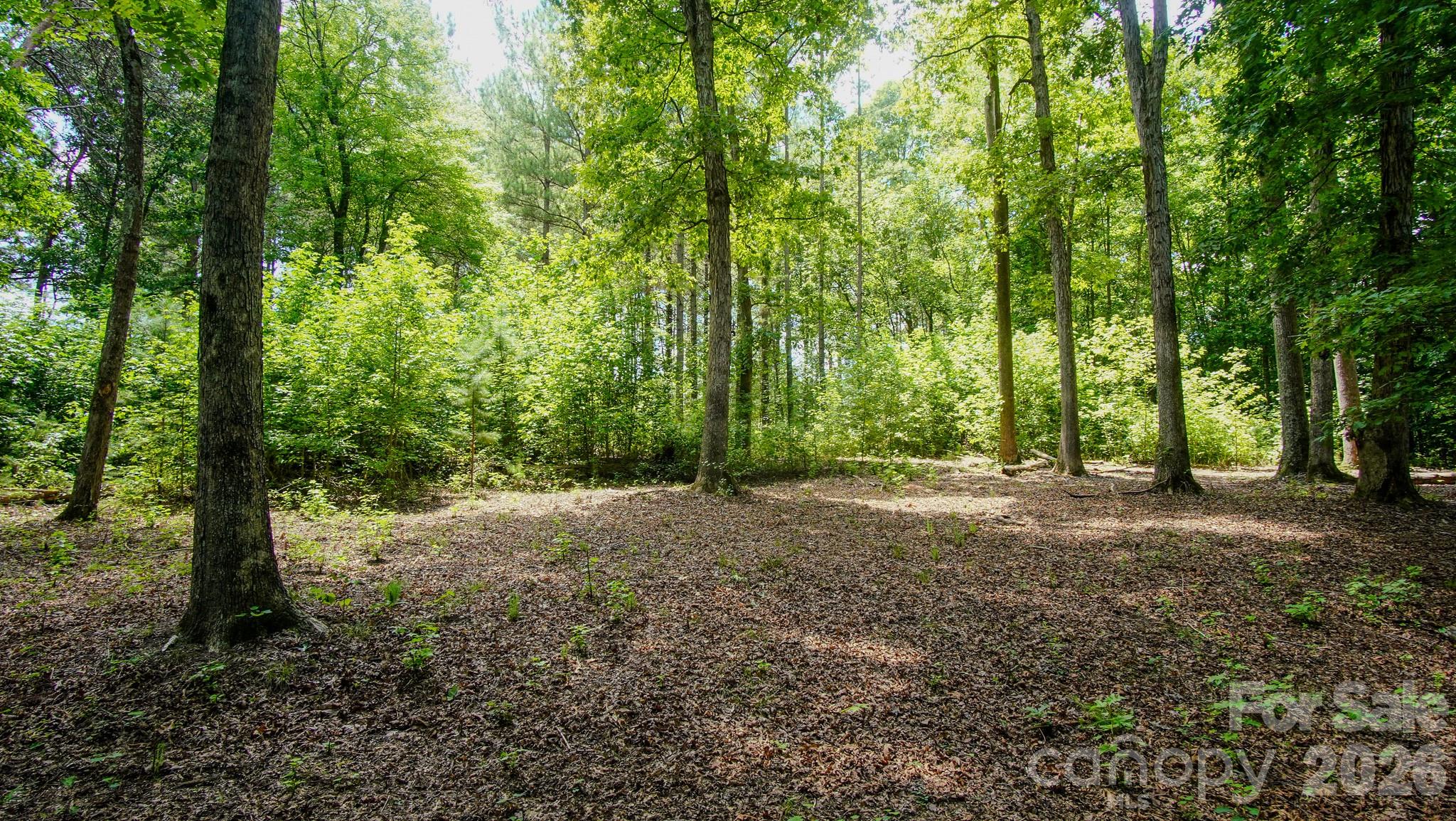 Acreage at 5018 Grassy Creek Road, Denver, photo 12 of 22