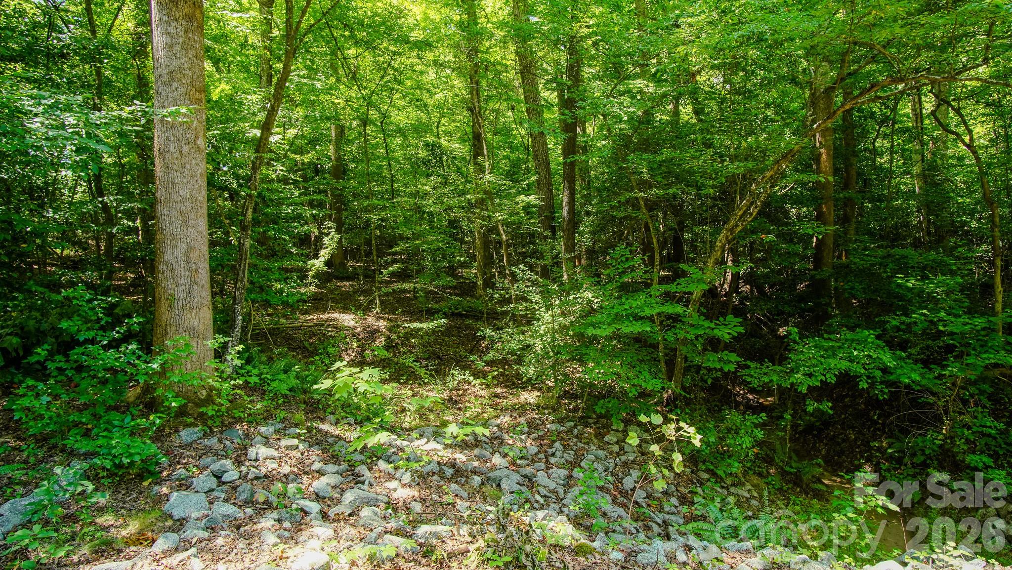 Small Stream - 5018 Grassy Creek Road, Denver