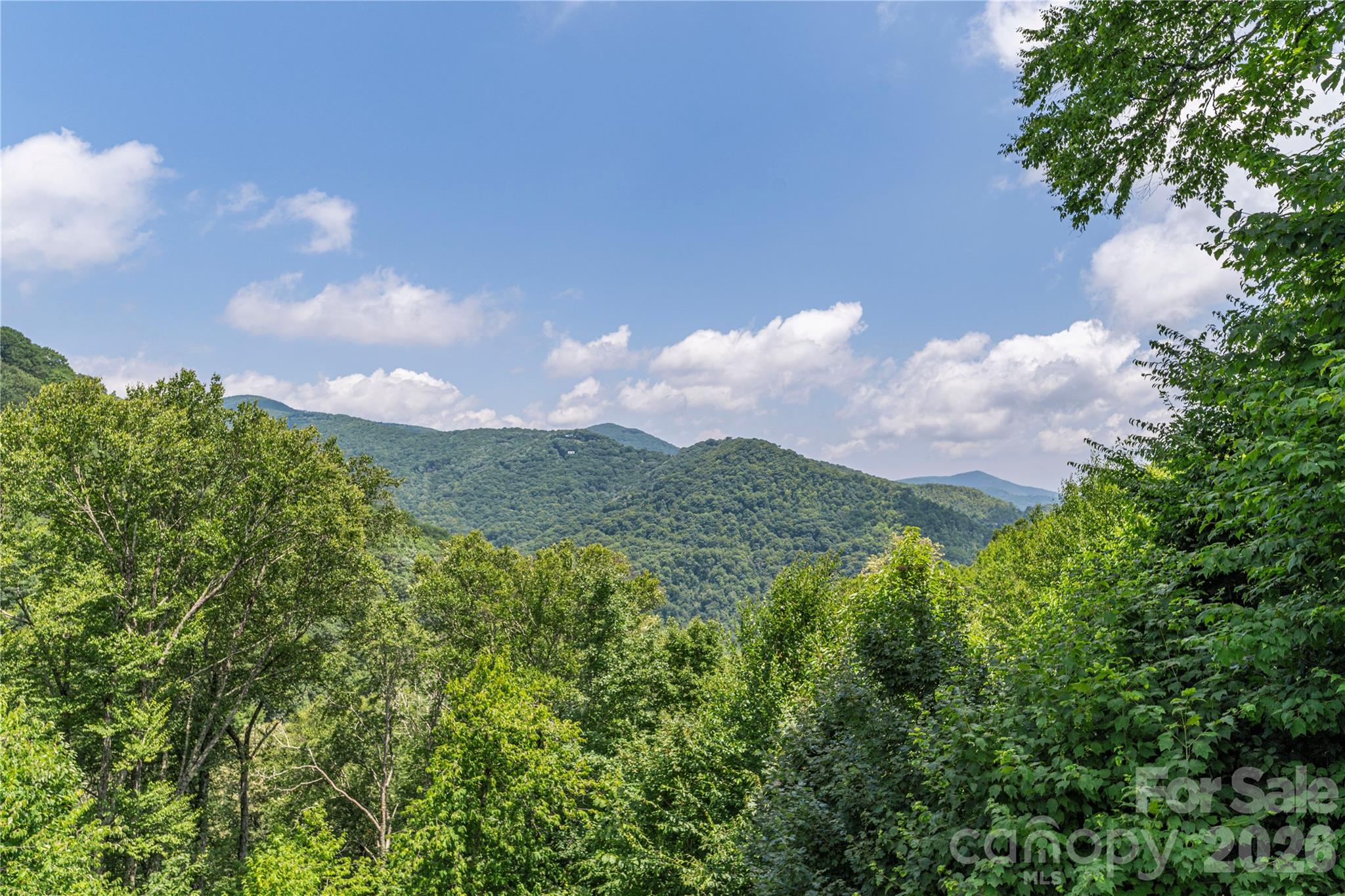 Single Family Residence at 92 Bobcat Road, Maggie Valley, photo 19 of 27