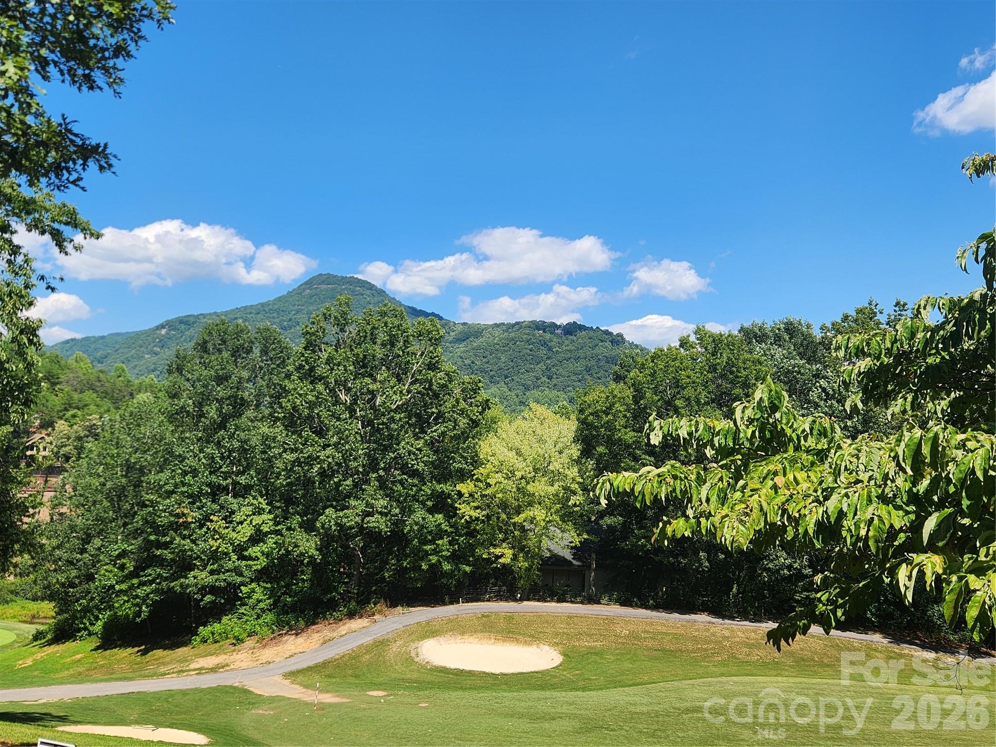 Single Family Residence at 124 Huntington Road, Lake Lure, photo 3 of 39