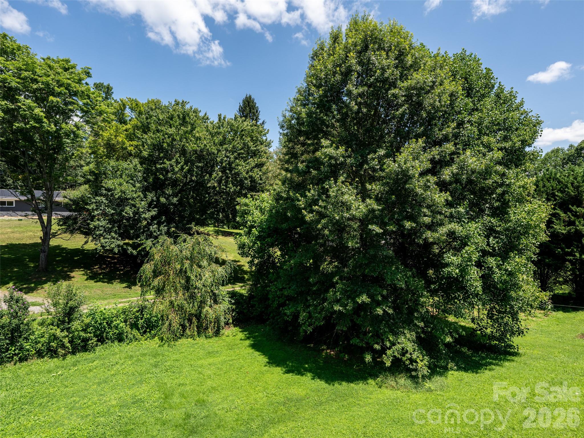Lovely back yard - 10 Ashe Road, Candler