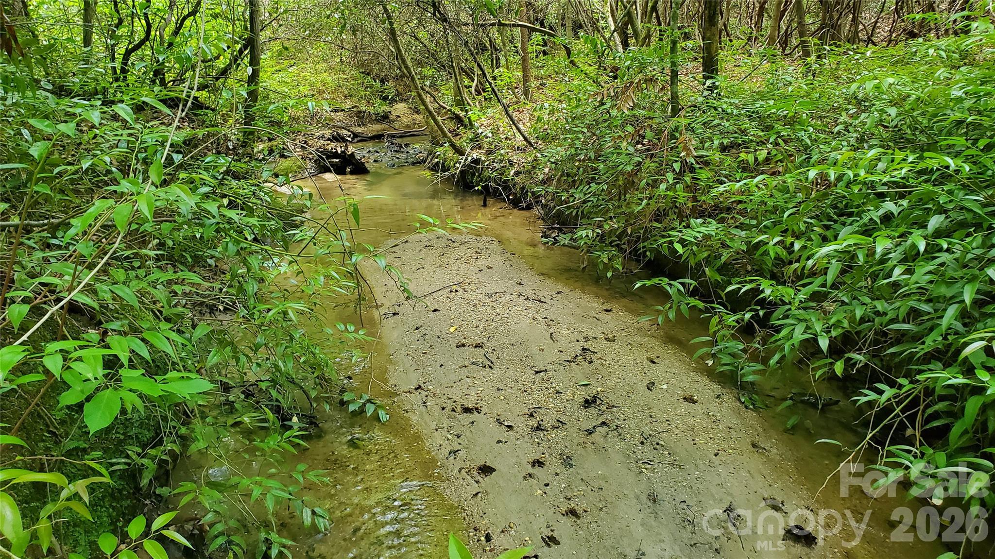 Creek runs the lower portion of the land and widens out after the spring run flows into it.! Very pretty, and a great flowing creek to do all kinds of things with.! As it flows it takes on a number of different looks thru different terrain.! - 755 Hamilton Drive, Columbus