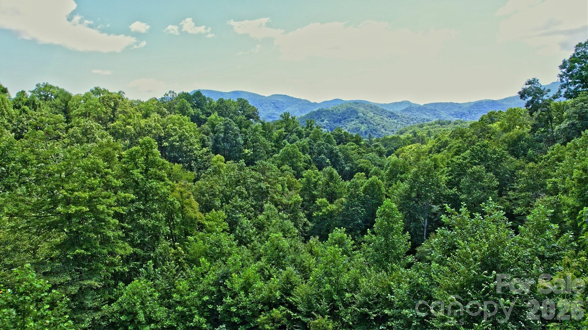 Acreage at 99999 Morgan Hill Road, Black Mountain, photo 10 of 22