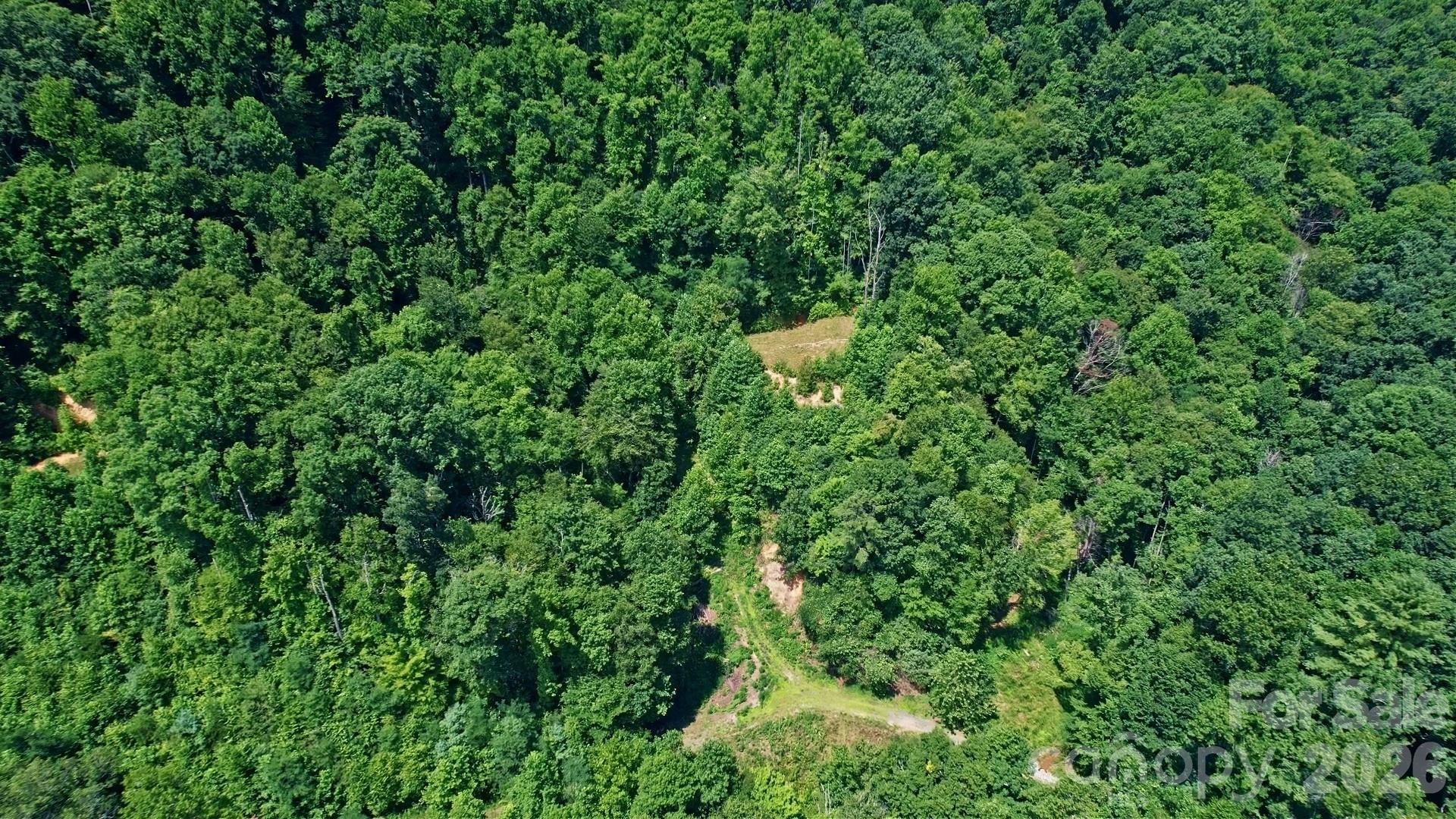 Acreage at 99999 Morgan Hill Road, Black Mountain, photo 11 of 22