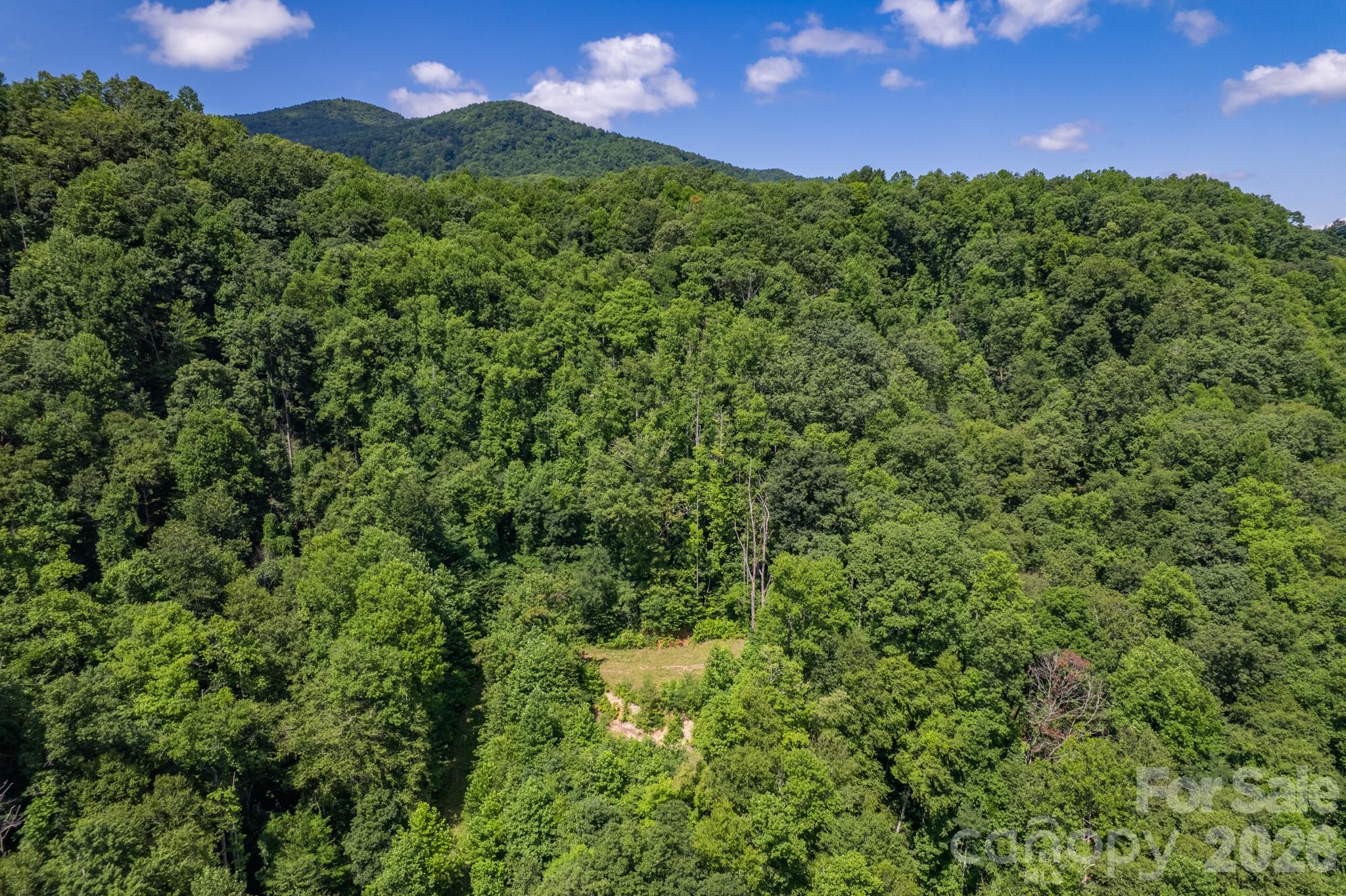 Acreage at 99999 Morgan Hill Road, Black Mountain, photo 12 of 22