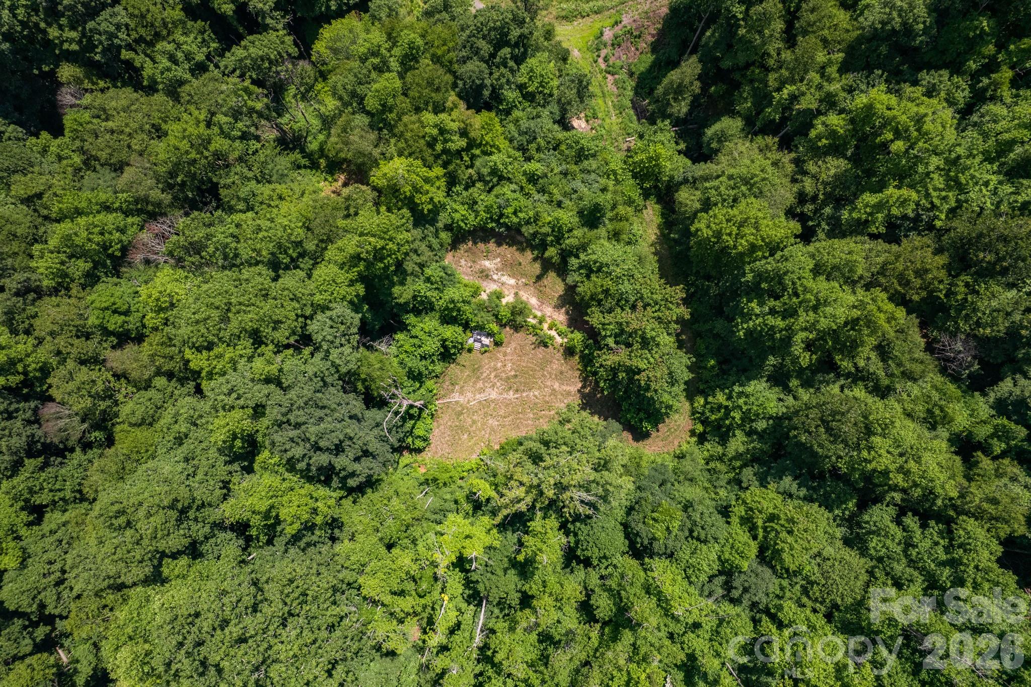 Acreage at 99999 Morgan Hill Road, Black Mountain, photo 13 of 22