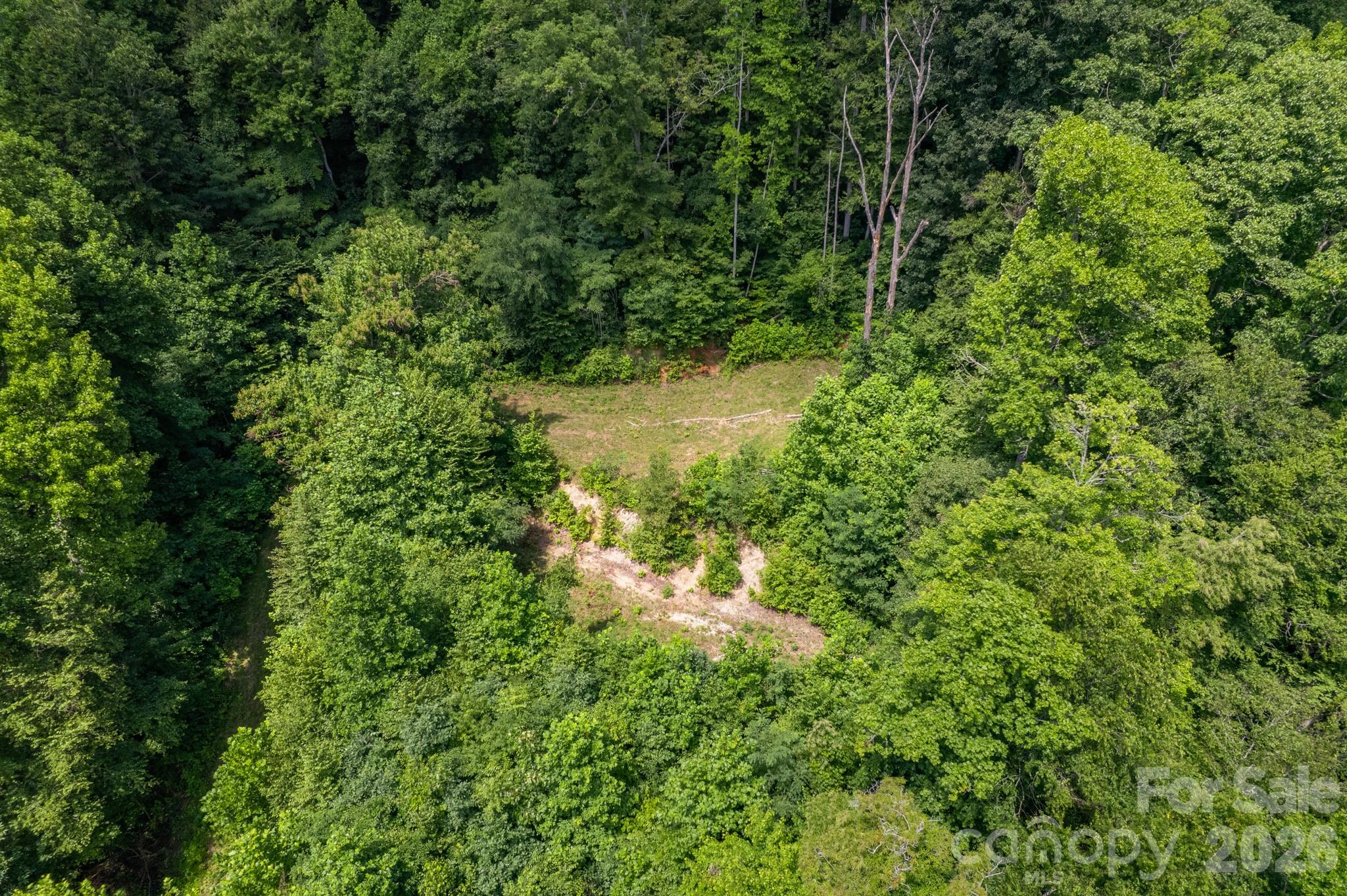 Acreage at 99999 Morgan Hill Road, Black Mountain, photo 16 of 22