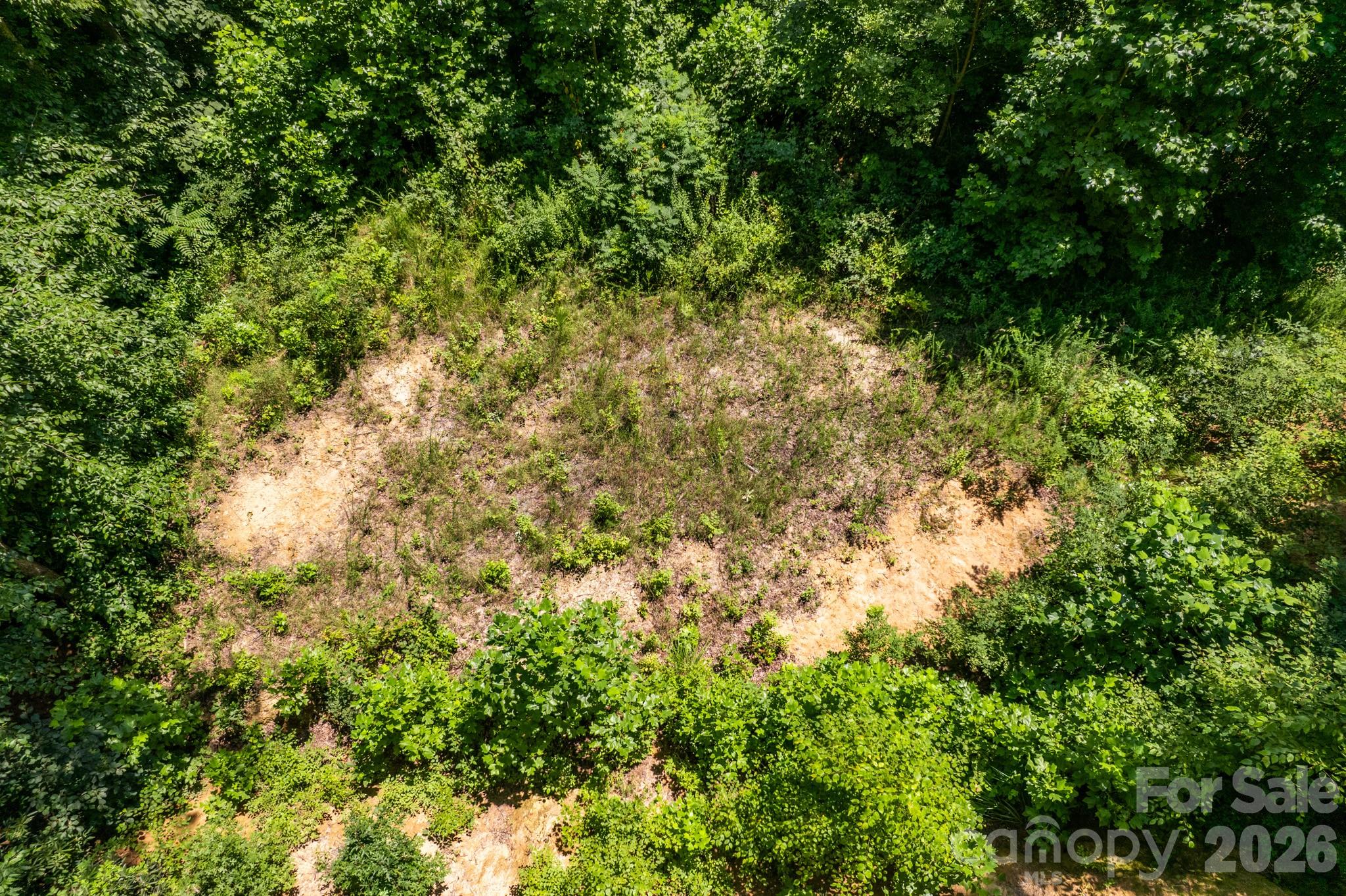 Acreage at 99999 Morgan Hill Road, Black Mountain, photo 18 of 22