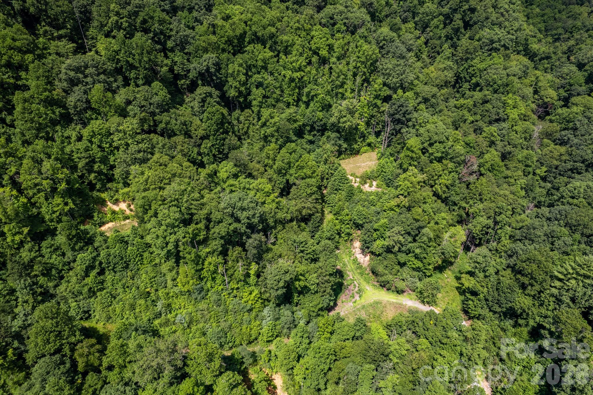 Acreage at 99999 Morgan Hill Road, Black Mountain, photo 19 of 22