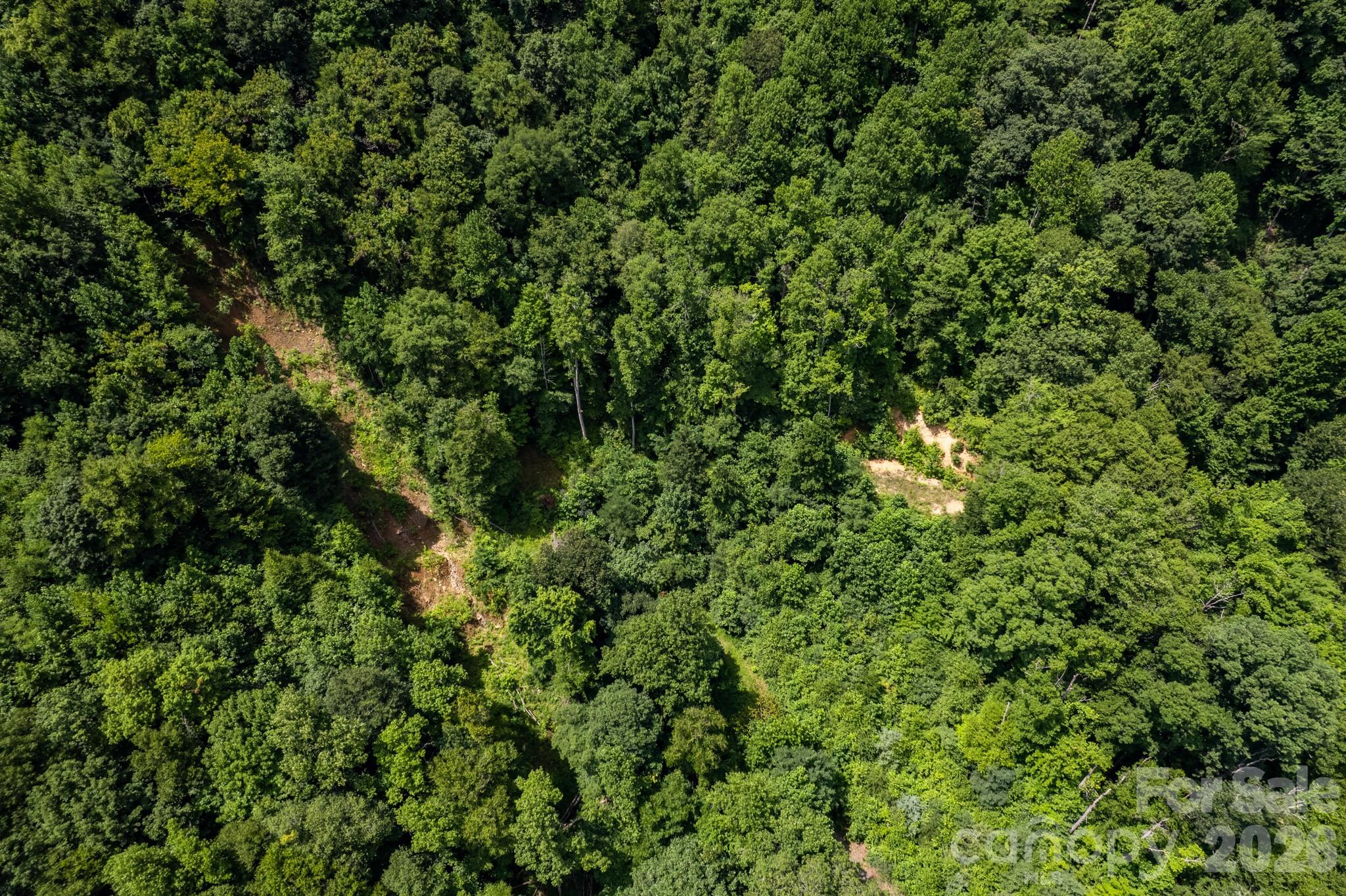 Acreage at 99999 Morgan Hill Road, Black Mountain, photo 20 of 22