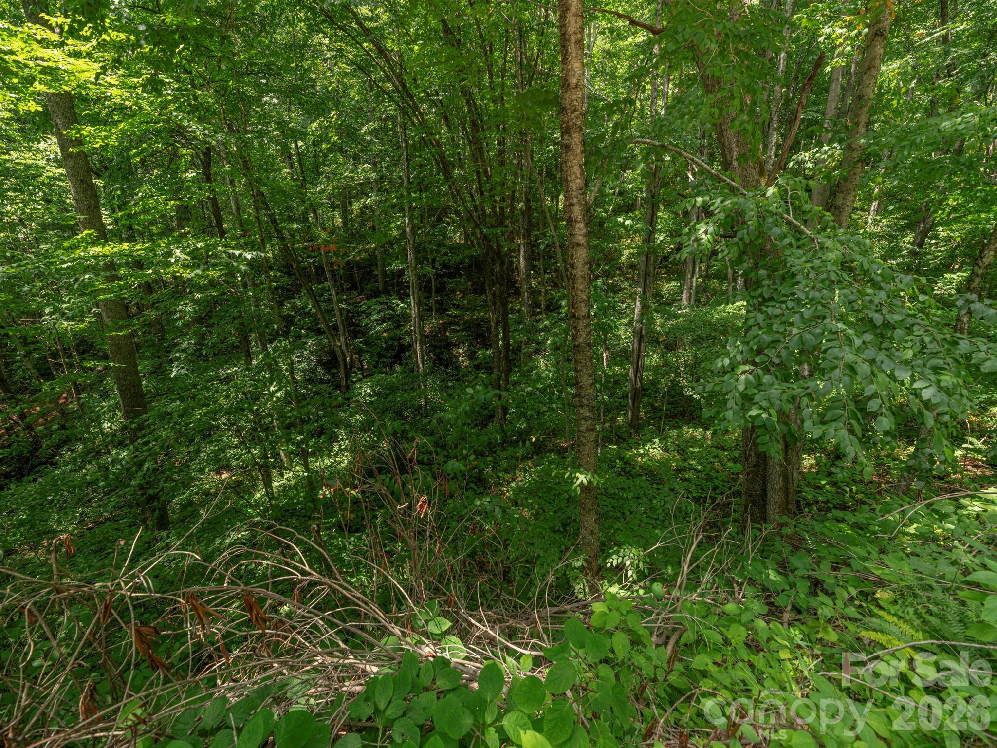 Acreage at 000 Rough Knob Road, Clyde, photo 2 of 5