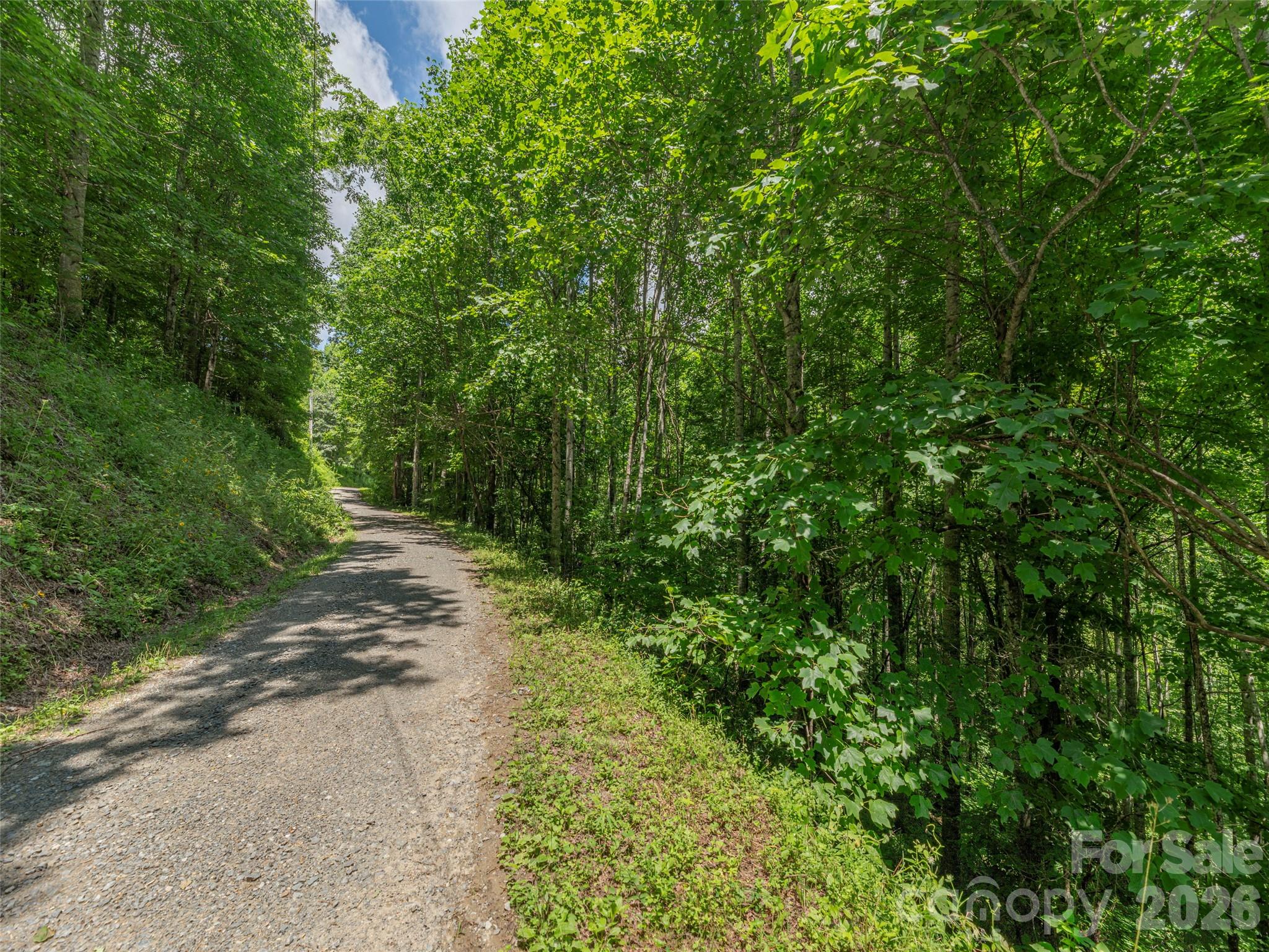 Acreage at 0000 Rough Knob Road, Clyde