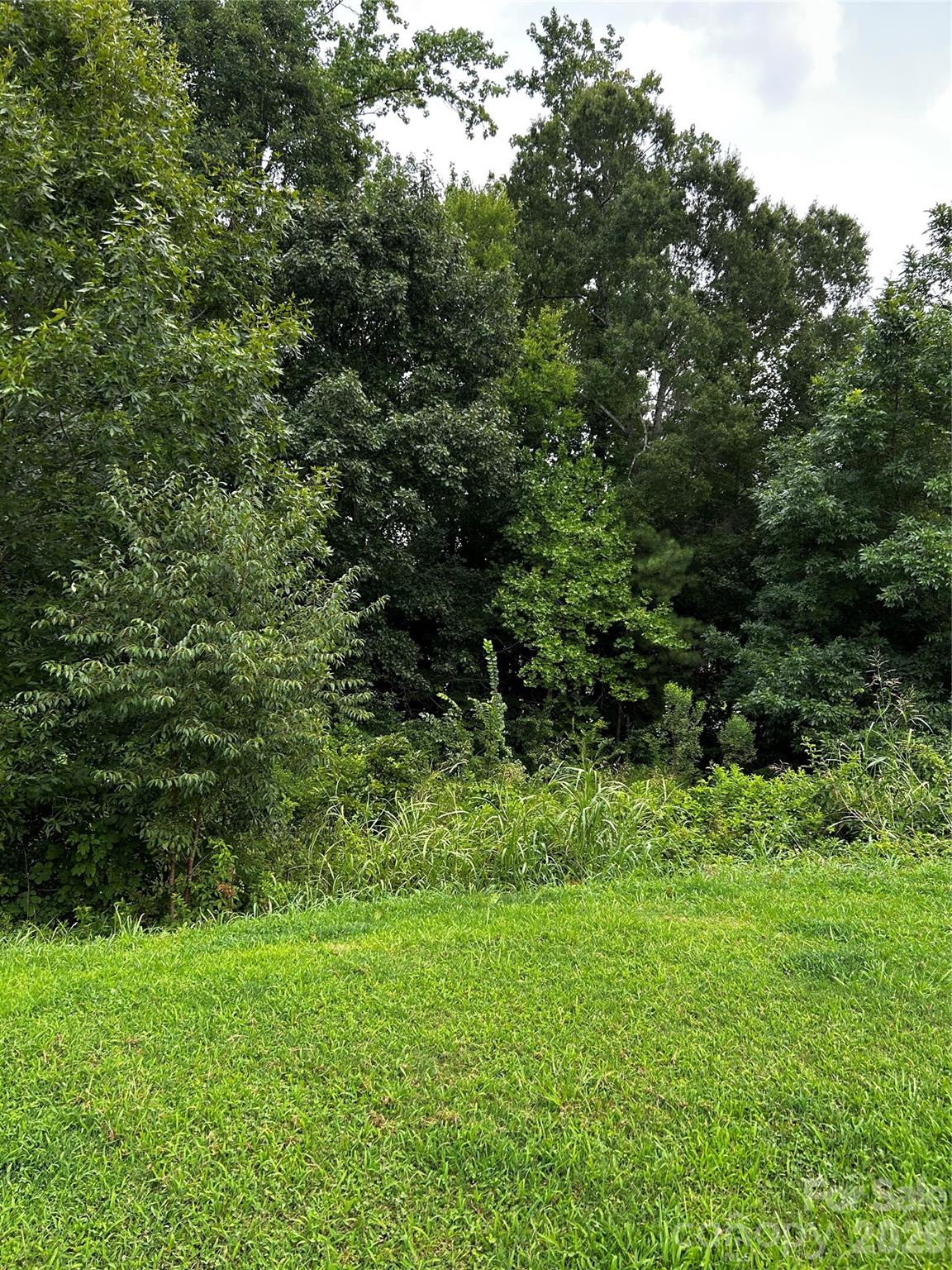 704 Larimer Lane