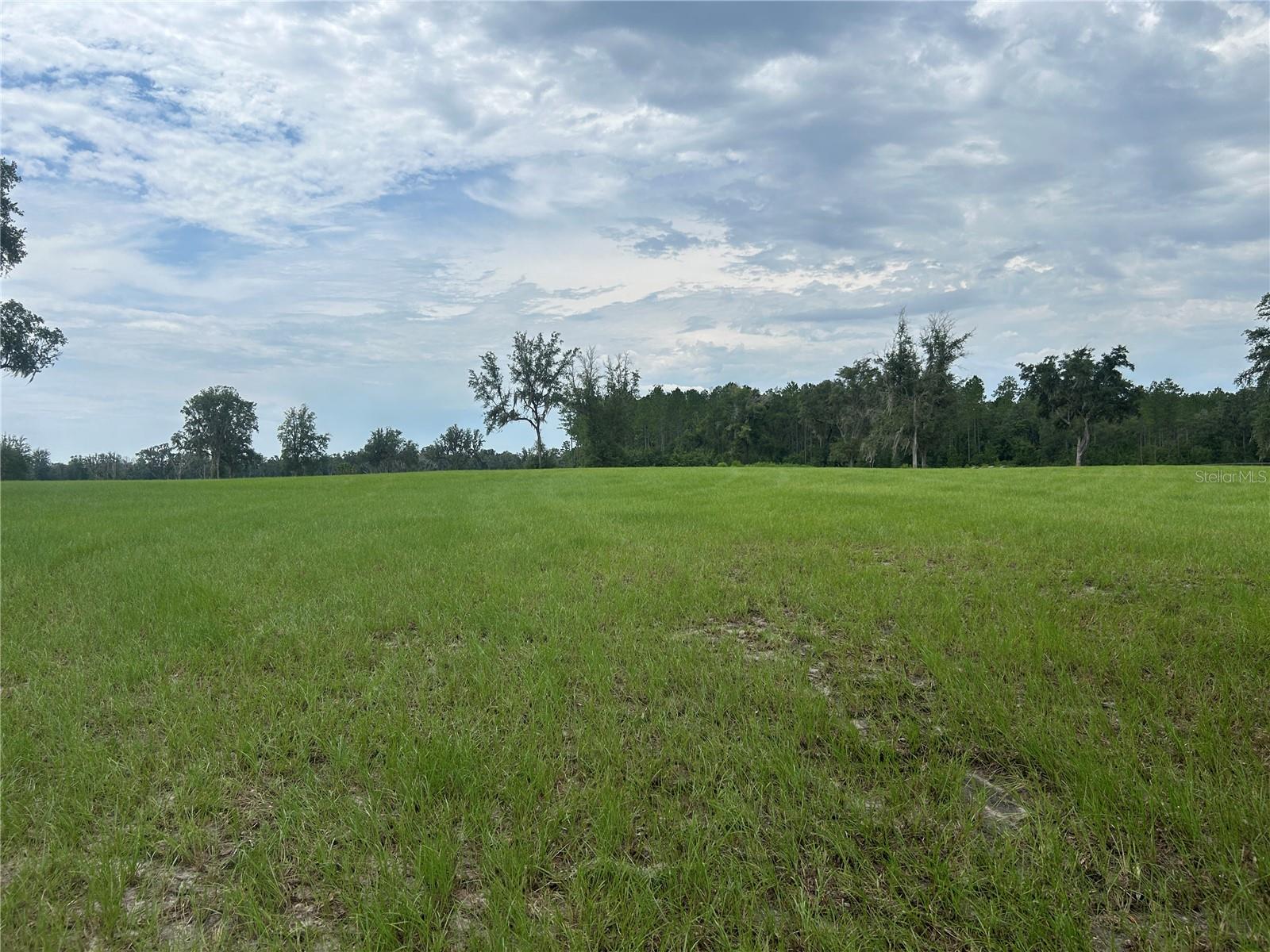 Land at TBD N US HWY 27, MORRISTON, photo 3 of 21
