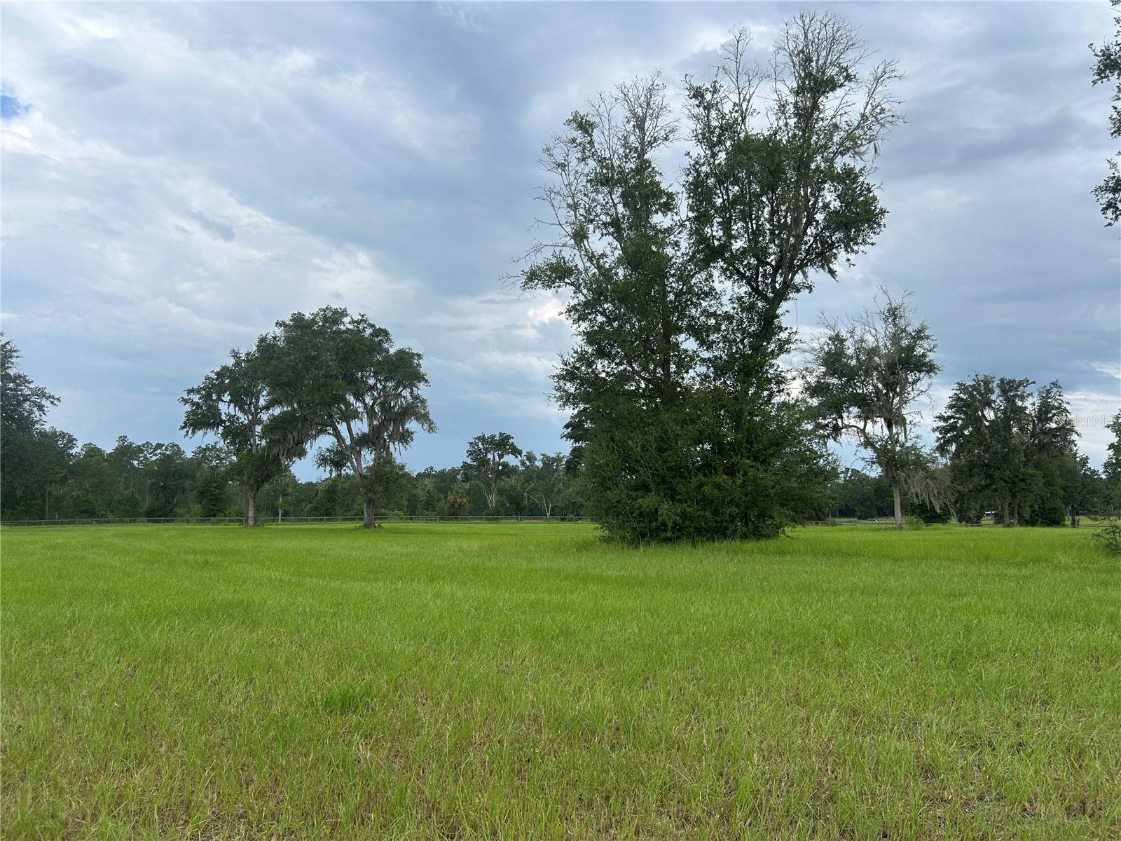 Land at TBD N US HWY 27, MORRISTON, photo 8 of 21