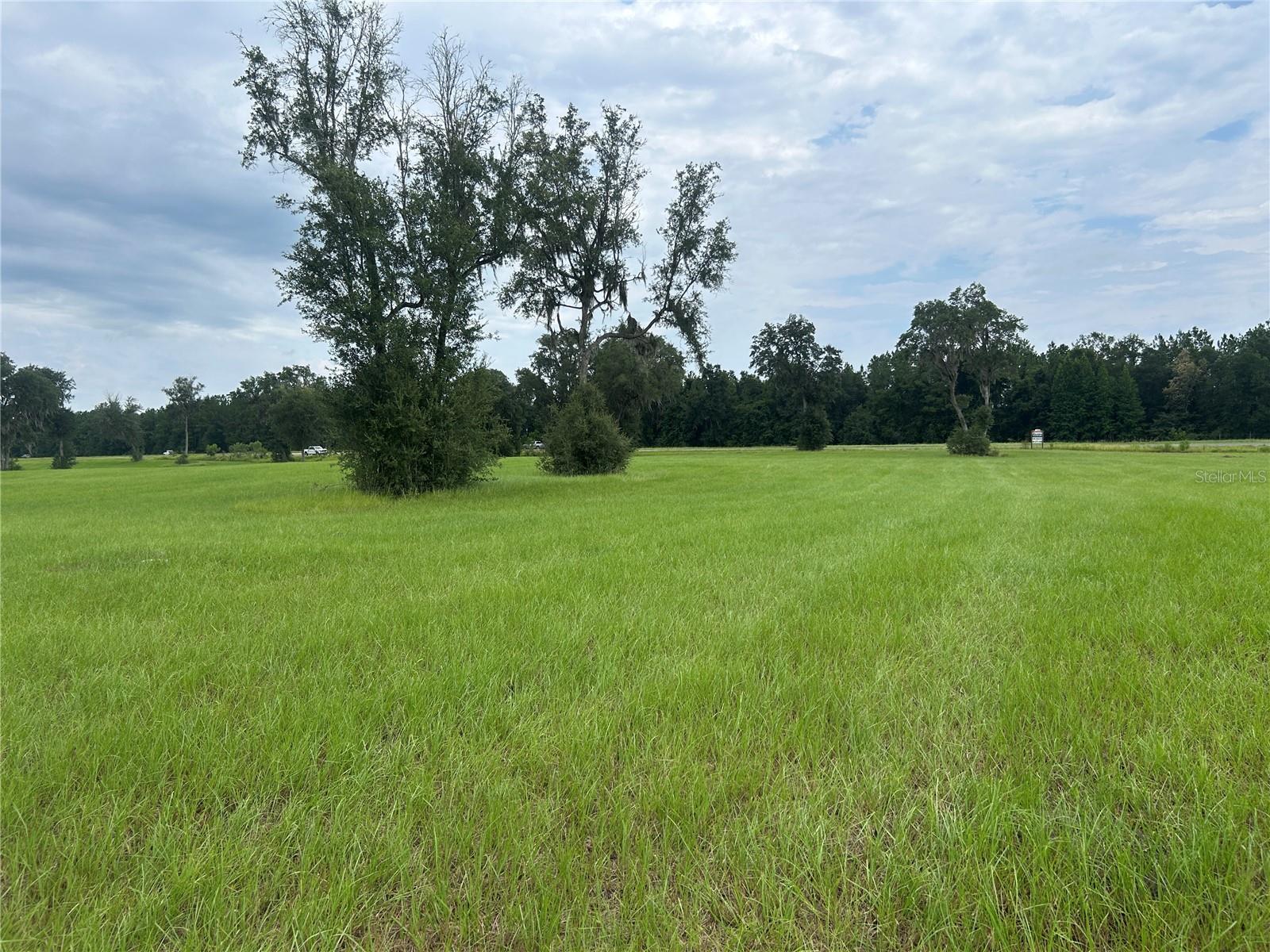 Land at TBD N US HWY 27, MORRISTON, photo 9 of 21