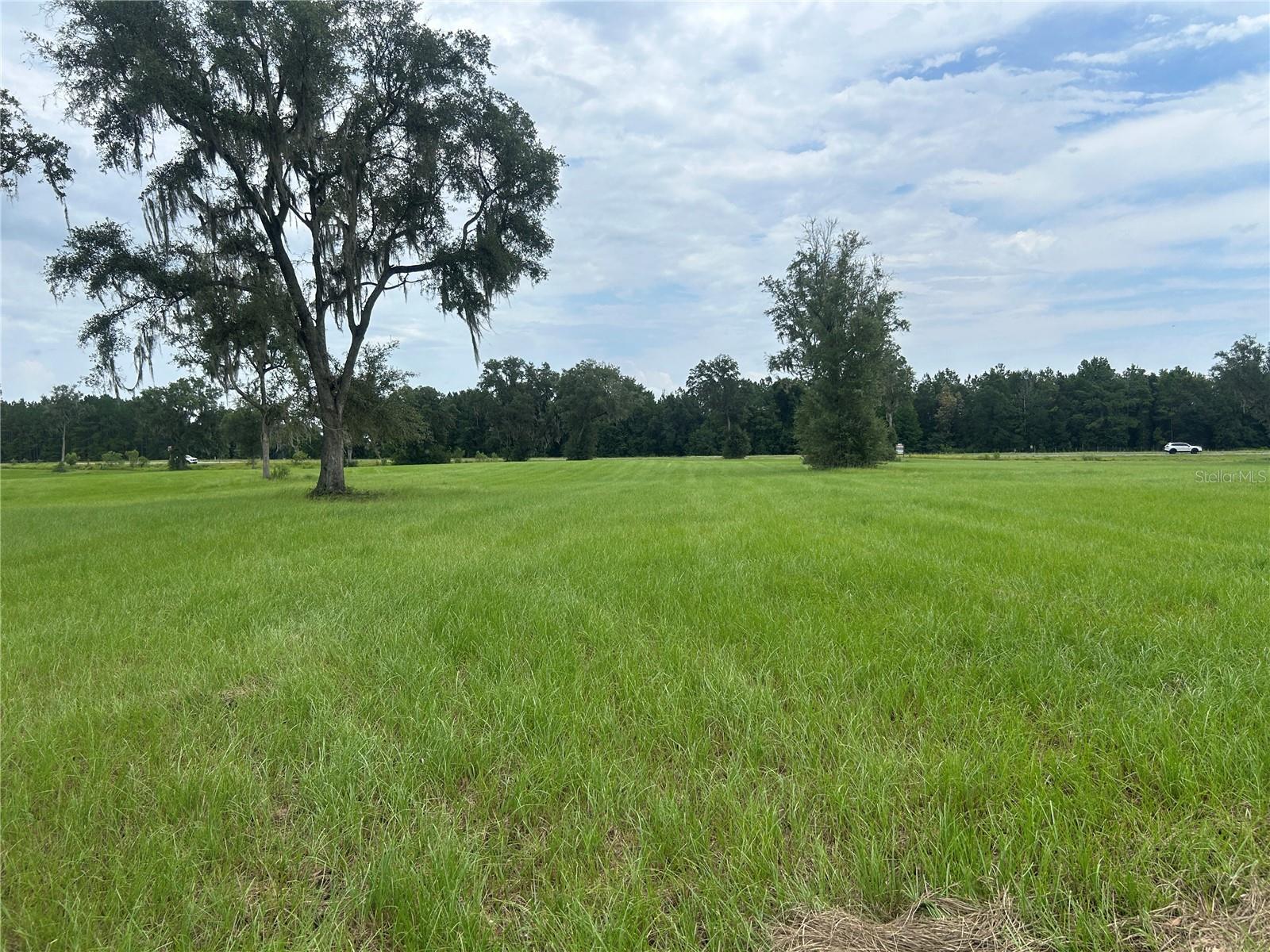 Land at TBD N US HWY 27, MORRISTON, photo 10 of 21