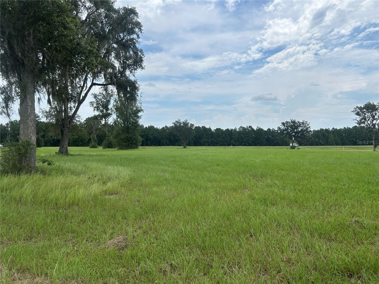 Land at TBD N US HWY 27, MORRISTON, photo 11 of 21