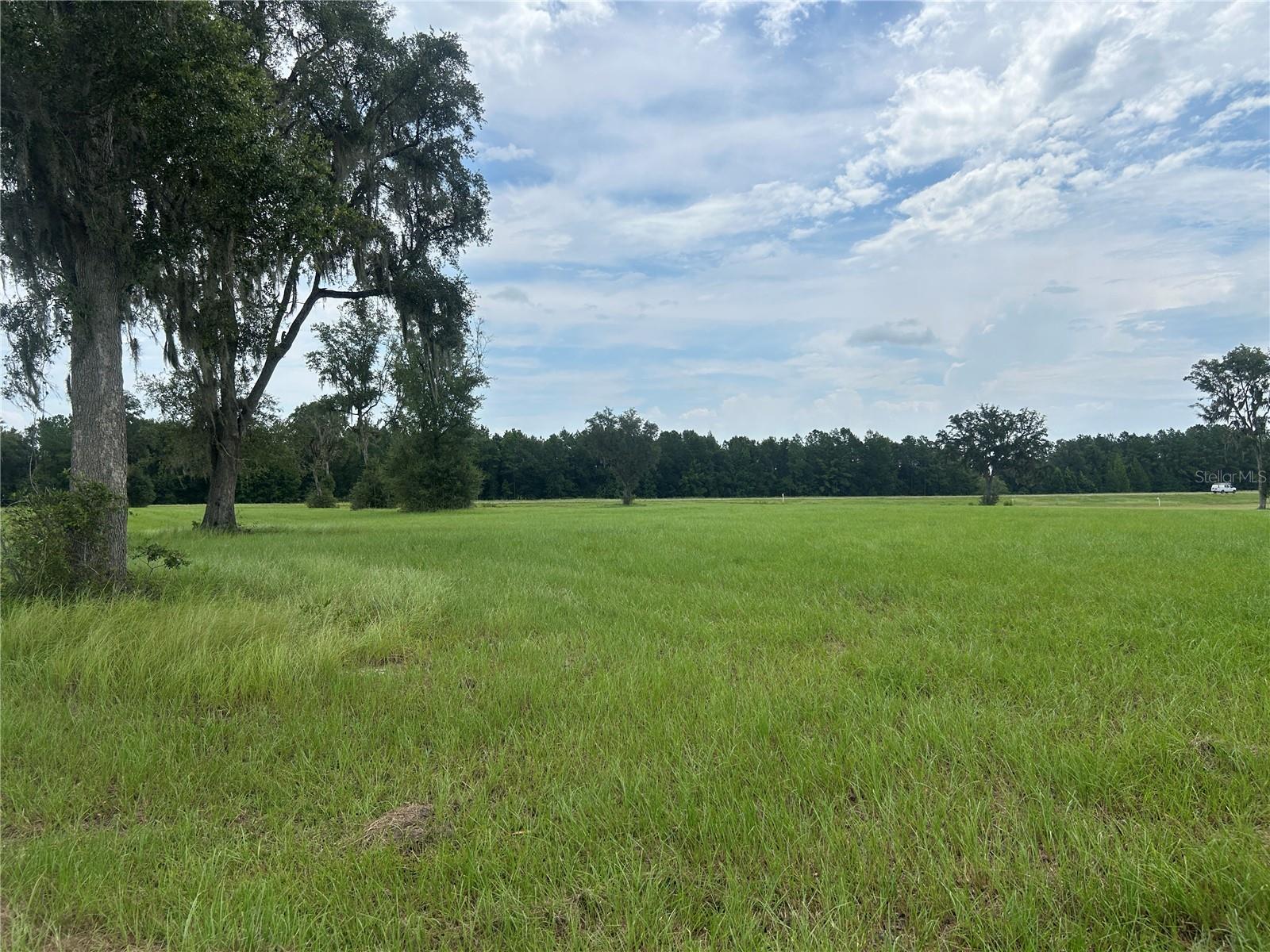 Land at TBD N US HWY 27, MORRISTON, photo 12 of 21