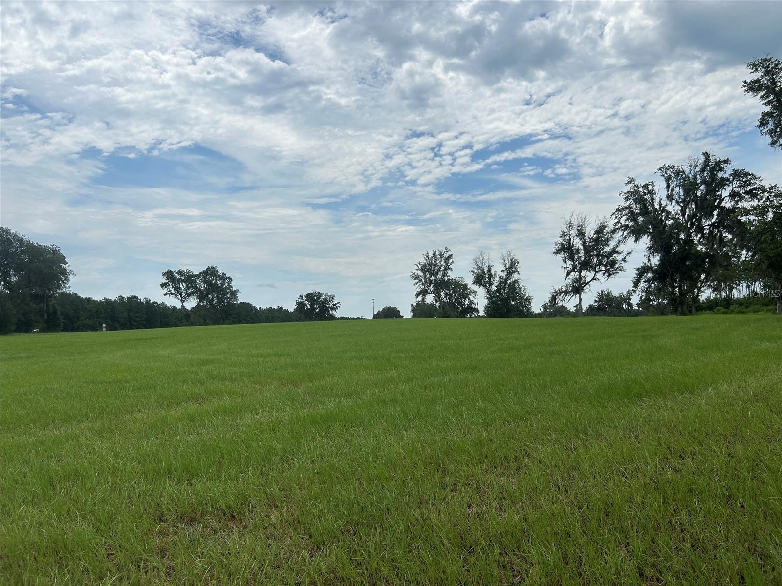 Land at TBD N US HWY 27, MORRISTON, photo 14 of 21