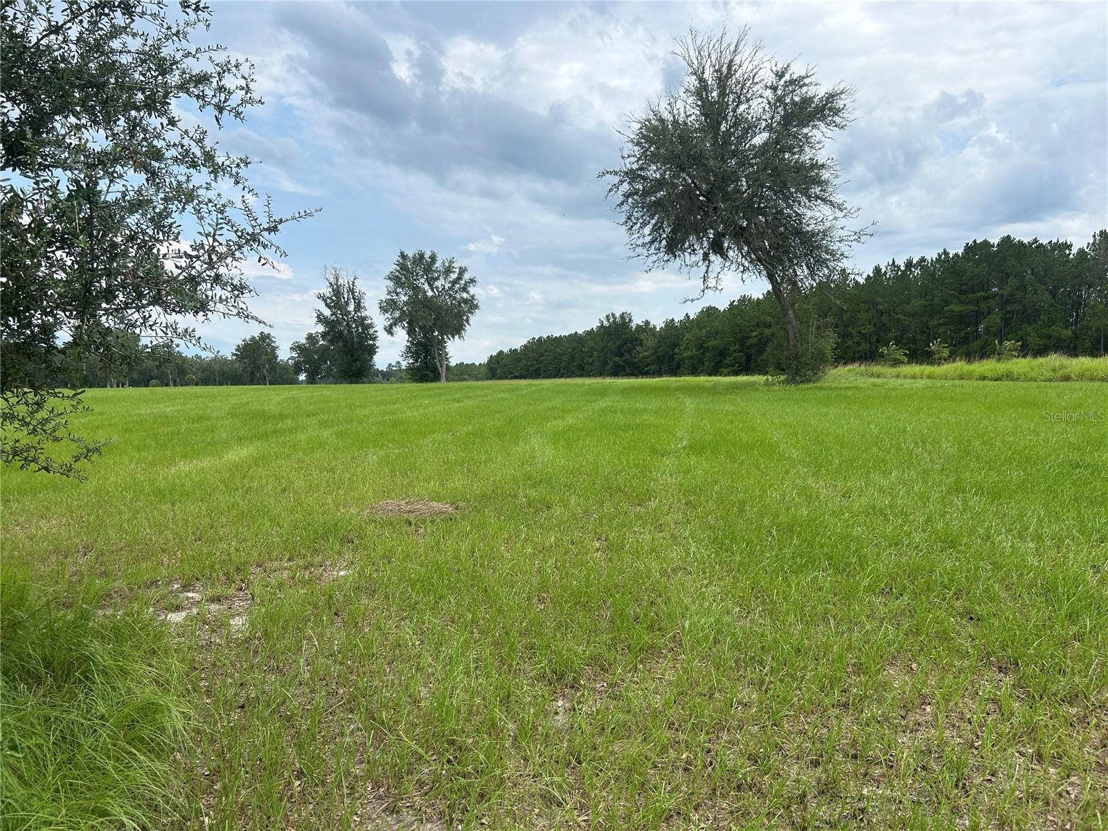 Land at TBD N US HWY 27, MORRISTON, photo 15 of 21