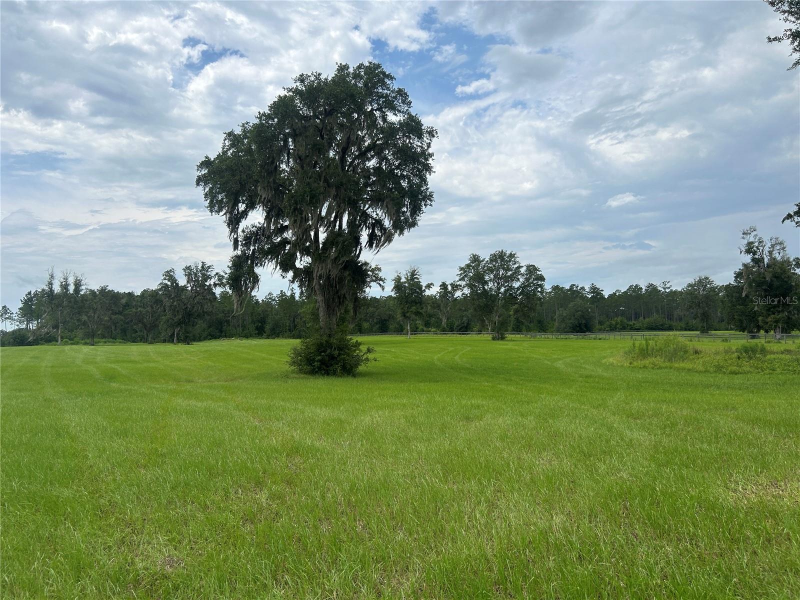 Land at TBD N US HWY 27, MORRISTON, photo 17 of 21