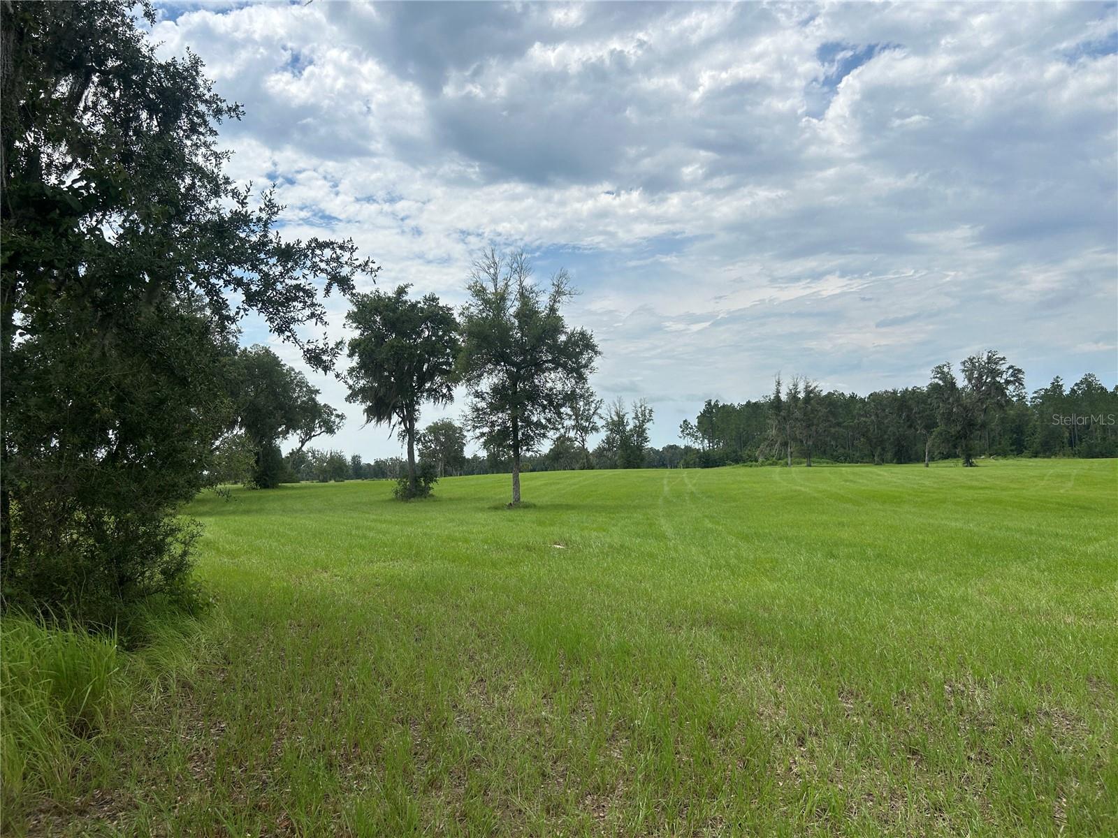 Land at TBD N US HWY 27, MORRISTON, photo 20 of 21