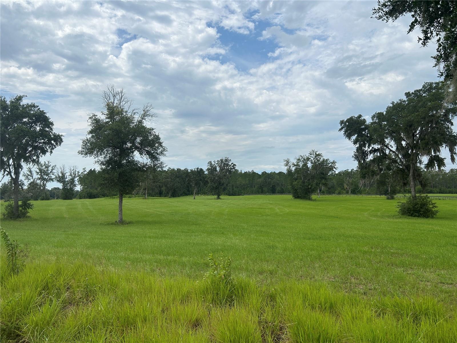 Land at TBD N US HWY 27, MORRISTON, photo 21 of 21