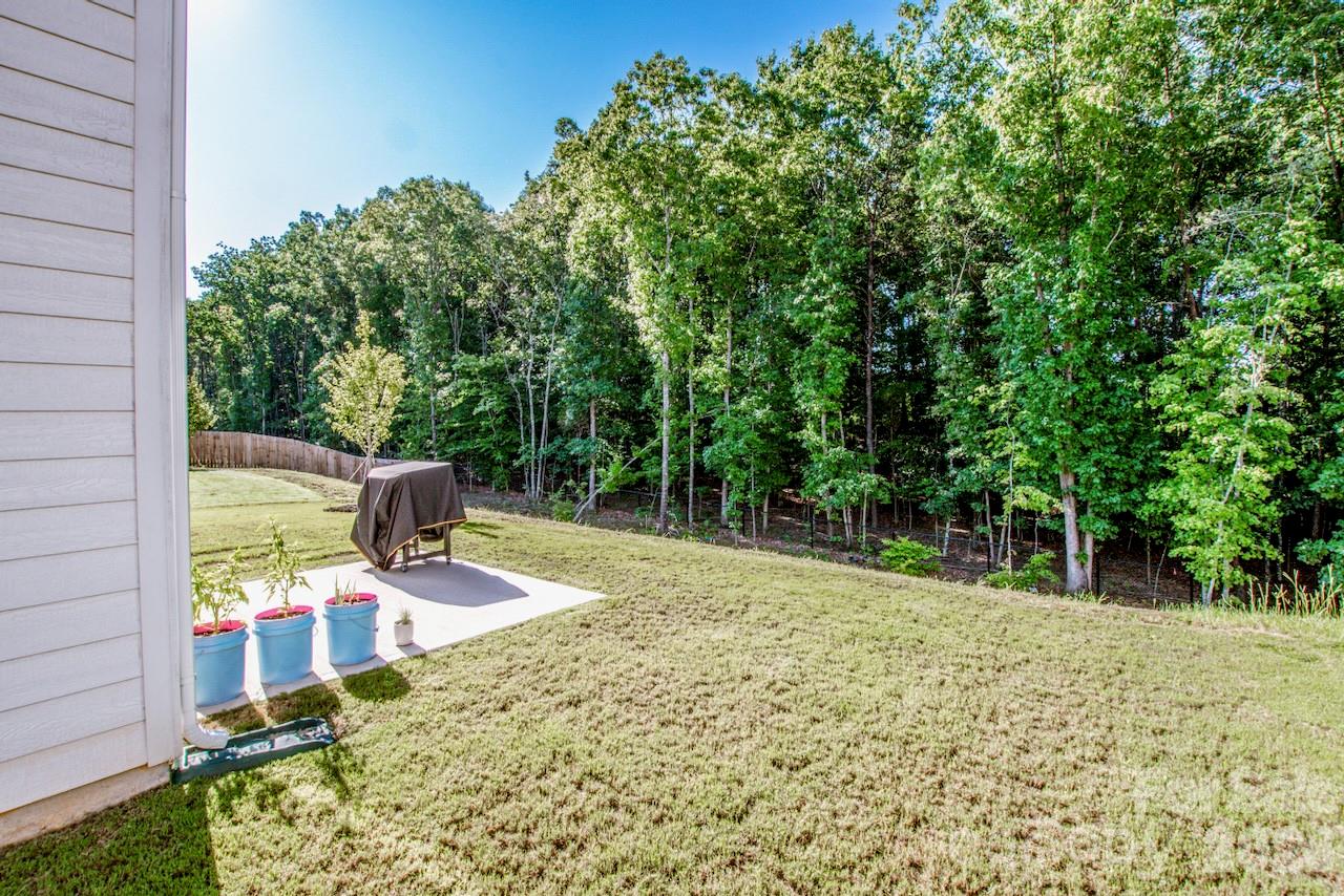Gorgeous Private backyard - 119 Brixham Loop, Troutman