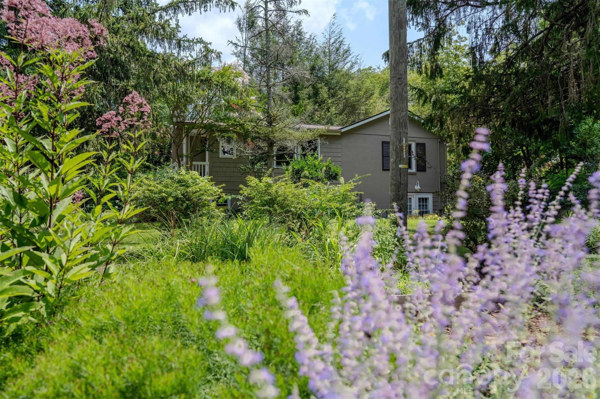Single Family Residence at 261 Forest Hill Drive, Asheville, photo 5 of 28