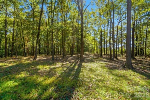 Acreage at 00 Landsford Road, Marshville, photo 2 of 5