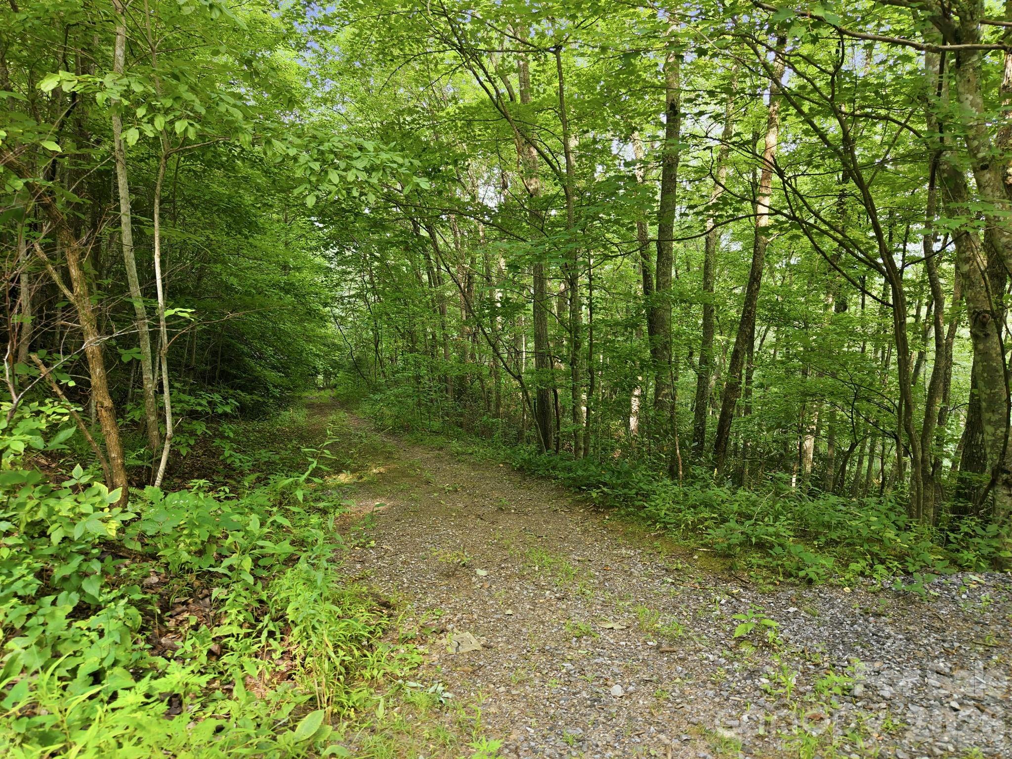 Lot at 00 Seasons Drive, Clyde, photo 2 of 27
