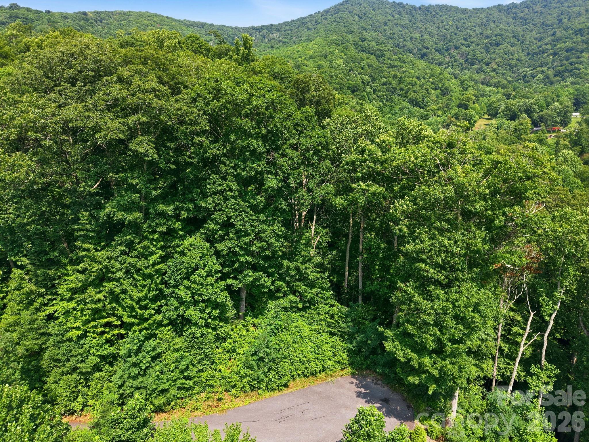 00 Triple Creek Drive