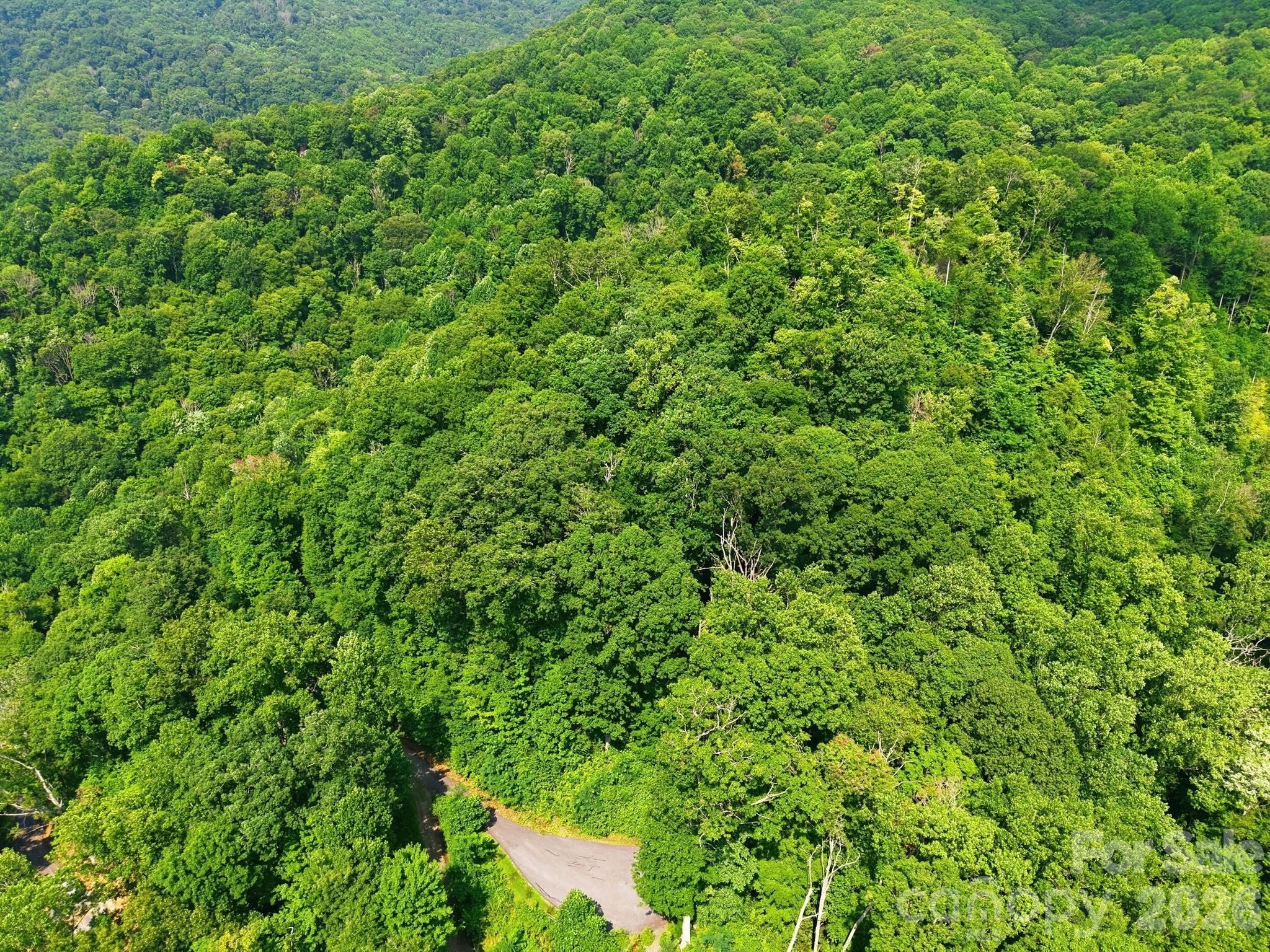 Lot at 00 Triple Creek Drive, Clyde, photo 2 of 14