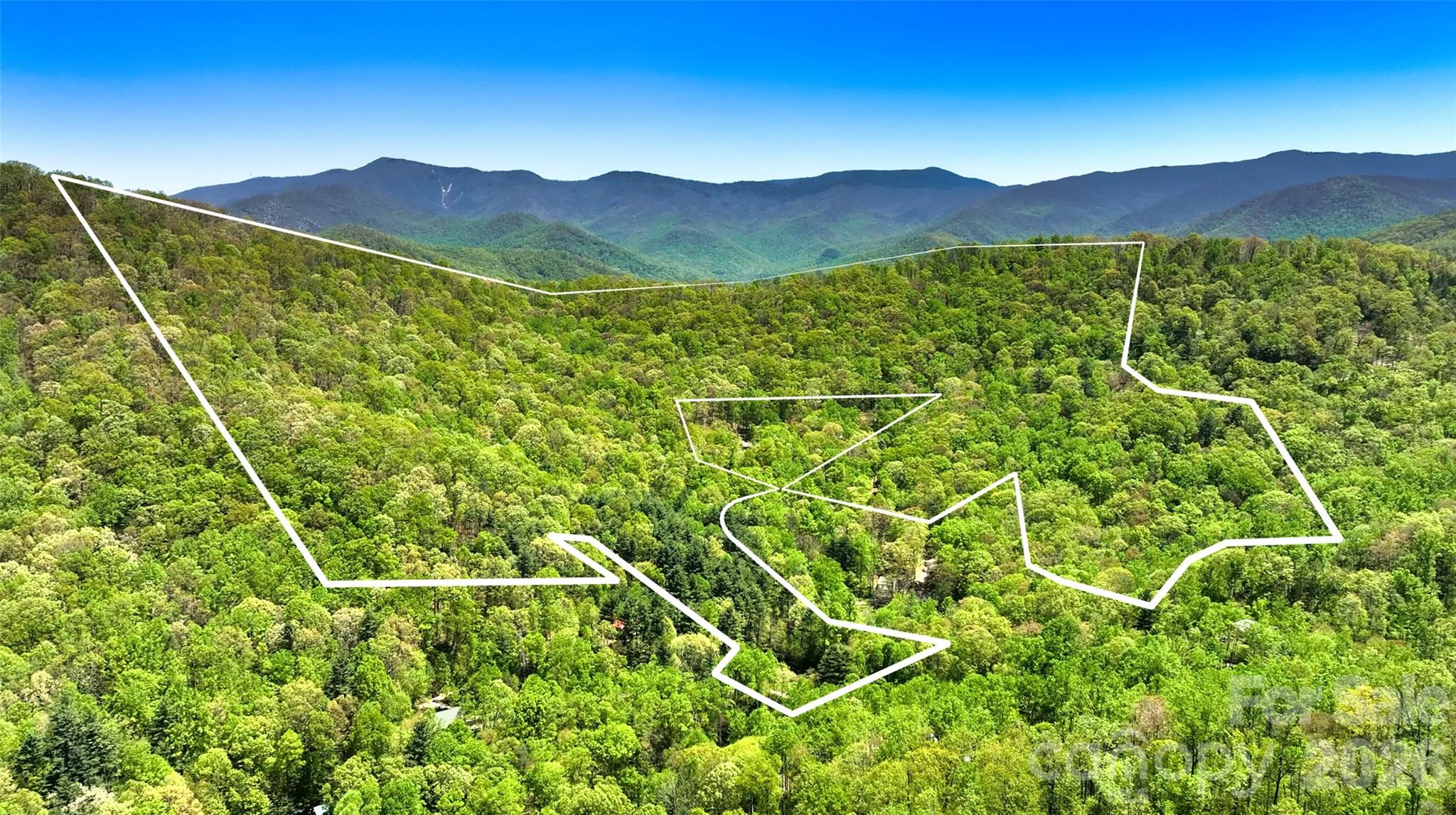 62 acres in Barnardsville with interior road and power lines! - 99999 Anderson Cove Road, Barnardsville