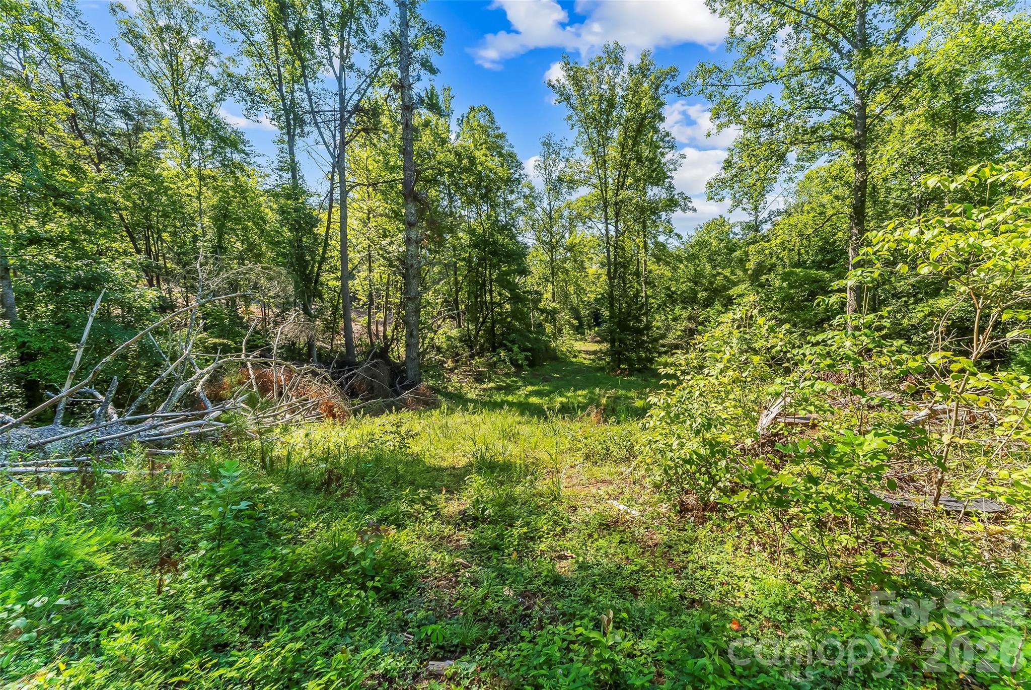 Acreage at 2815 Playmore Beach Road, Morganton, photo 18 of 23