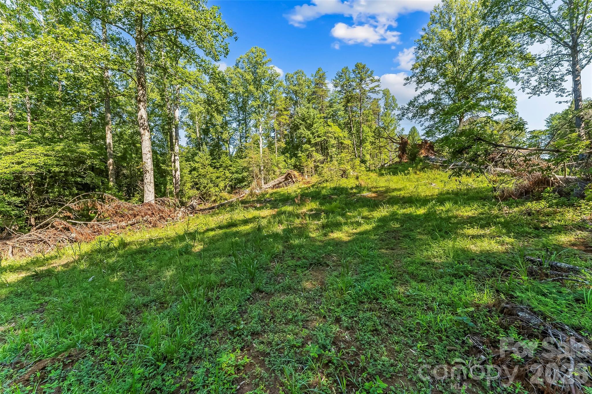 Acreage at 2815 Playmore Beach Road, Morganton, photo 17 of 23