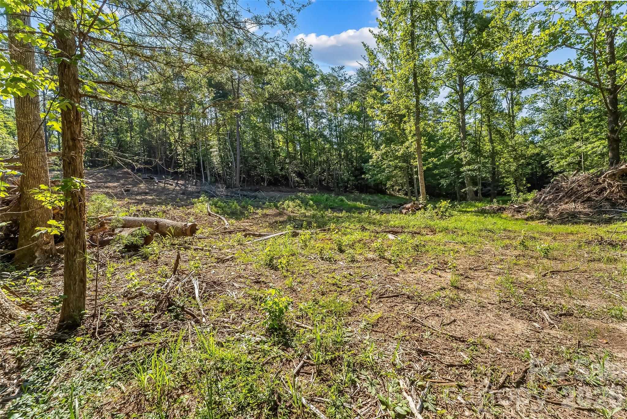 Acreage at 2815 Playmore Beach Road, Morganton, photo 14 of 23