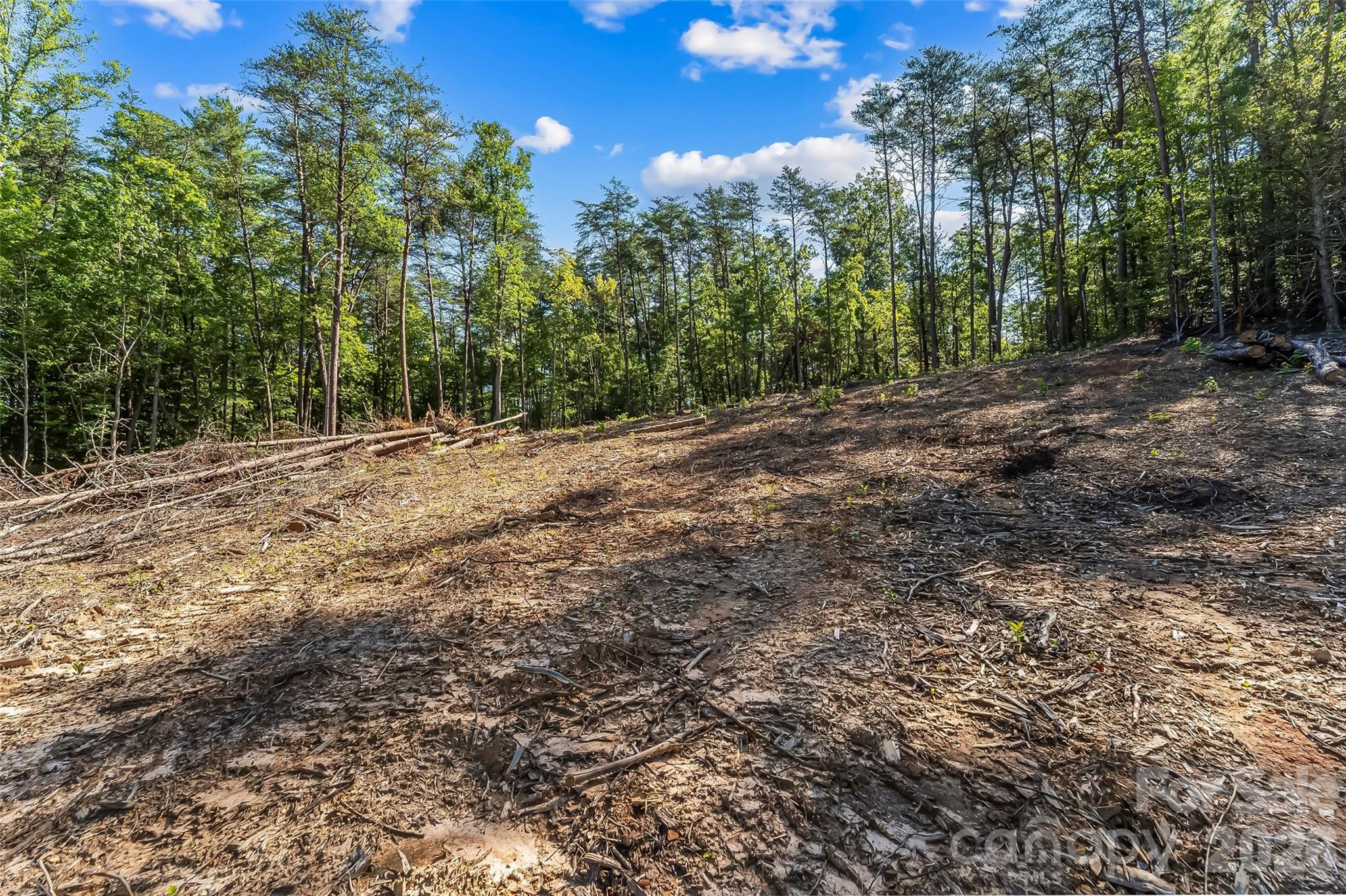 Acreage at 2815 Playmore Beach Road, Morganton, photo 11 of 23