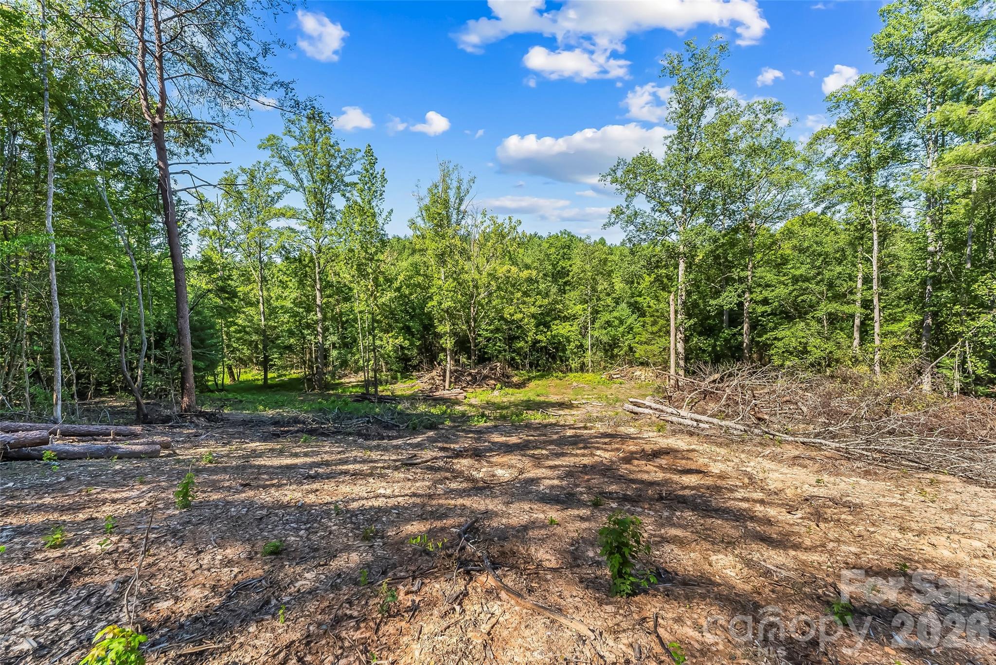 Acreage at 2815 Playmore Beach Road, Morganton, photo 12 of 23