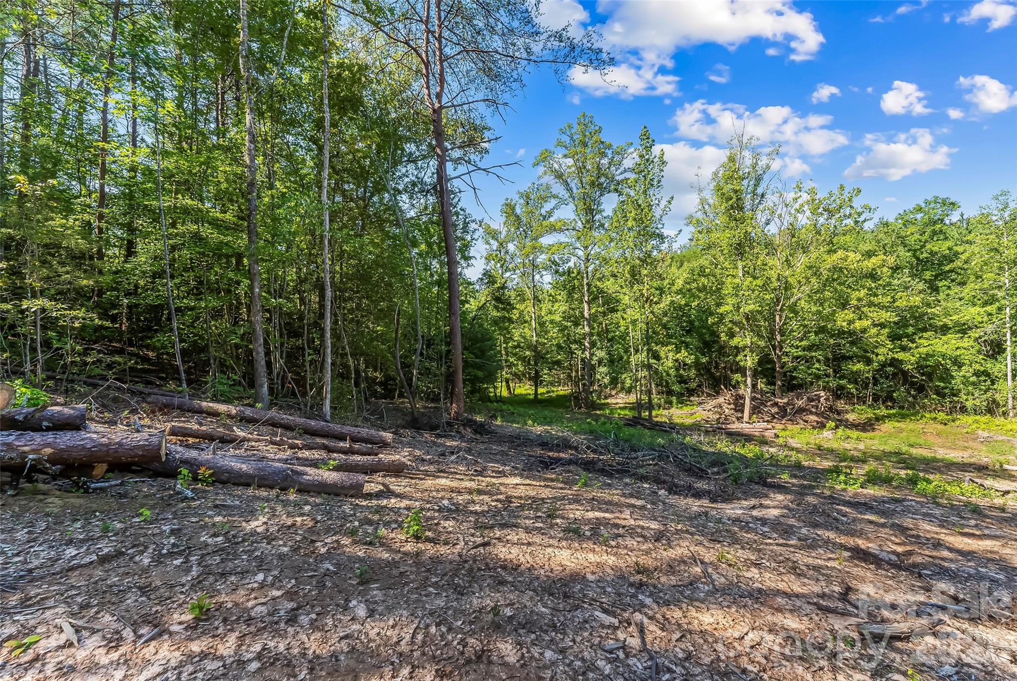 Acreage at 2815 Playmore Beach Road, Morganton, photo 13 of 23