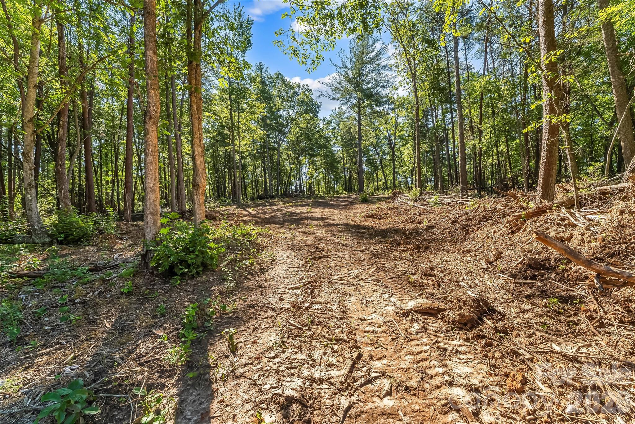 Acreage at 2815 Playmore Beach Road, Morganton, photo 15 of 23