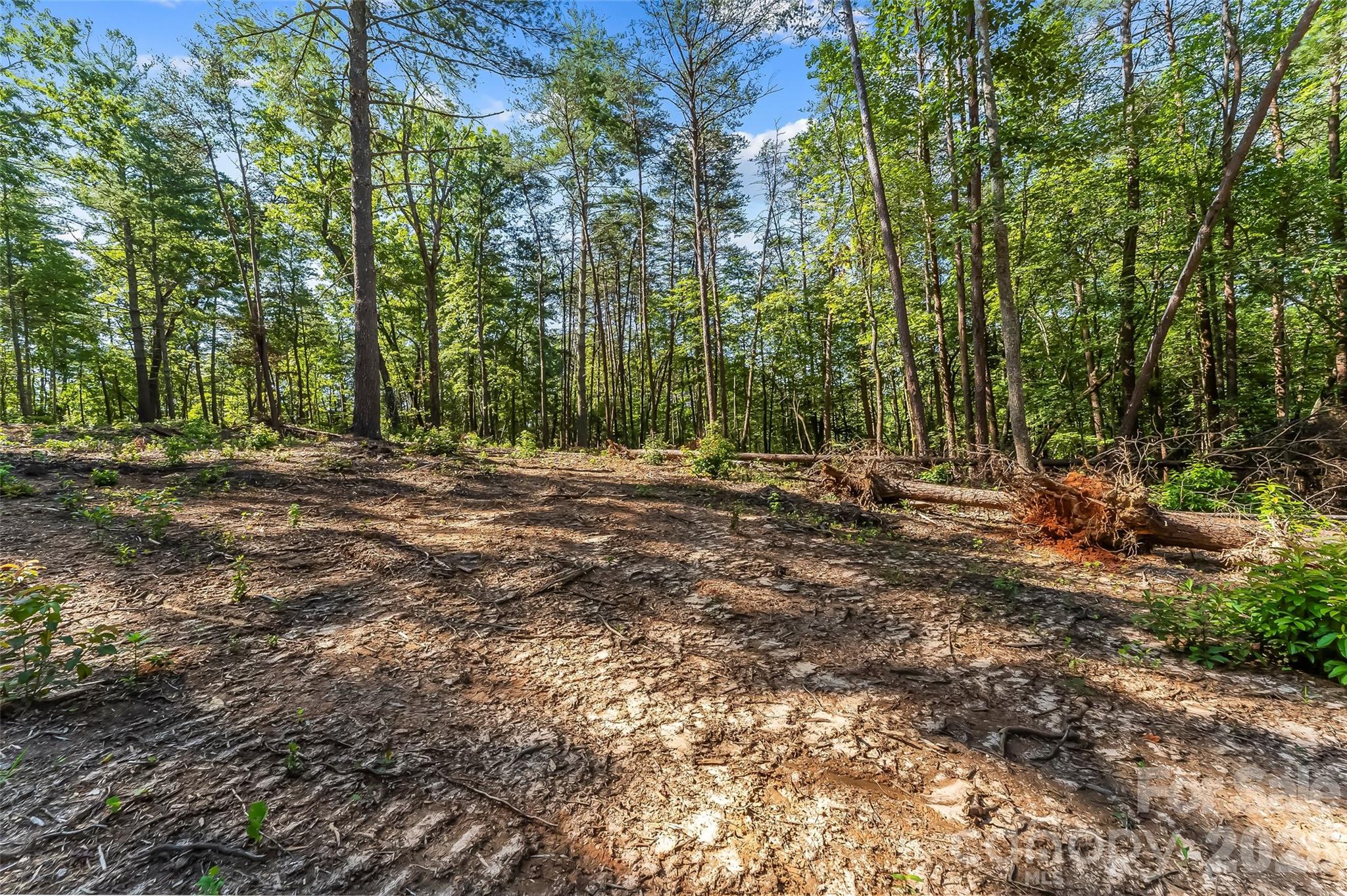 Acreage at 2815 Playmore Beach Road, Morganton, photo 8 of 23